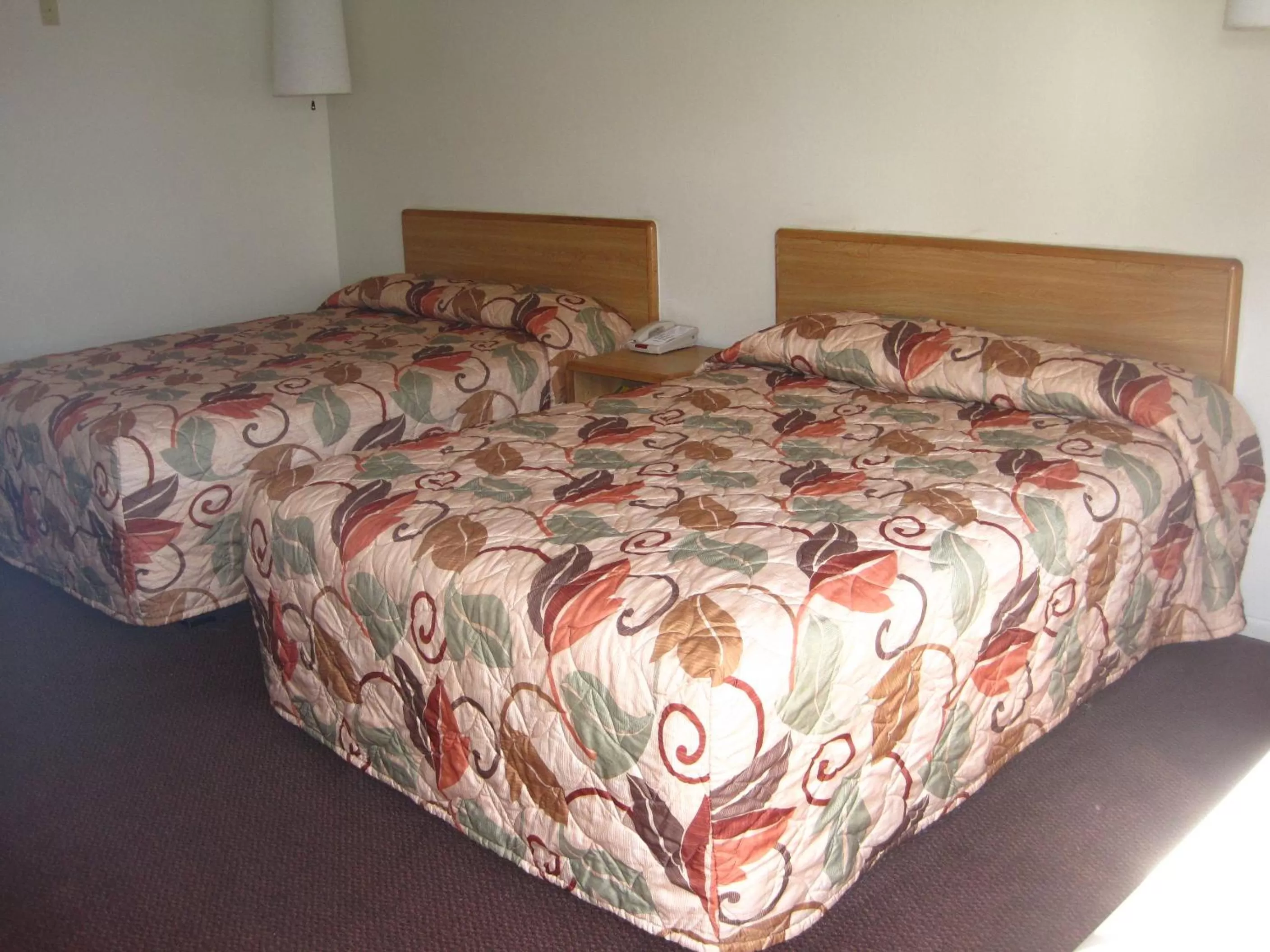 Bed in EZ 8 Motel Old Town