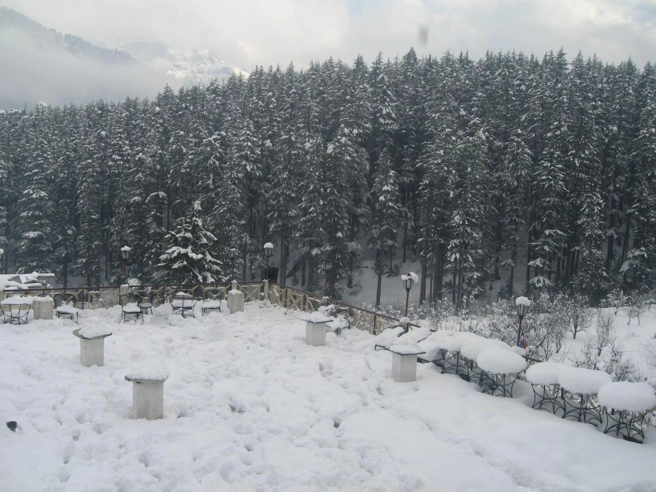 Natural landscape in Snow Valley Resorts & Spa Manali