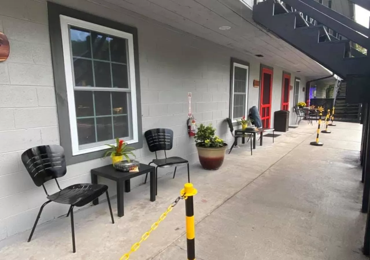 Deluxe King Studio in Dragon City