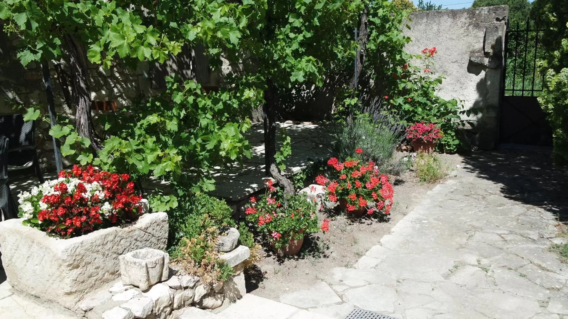 Garden in Mas Grimaud - Gîte- Studio et chambres d'hôtes familiales