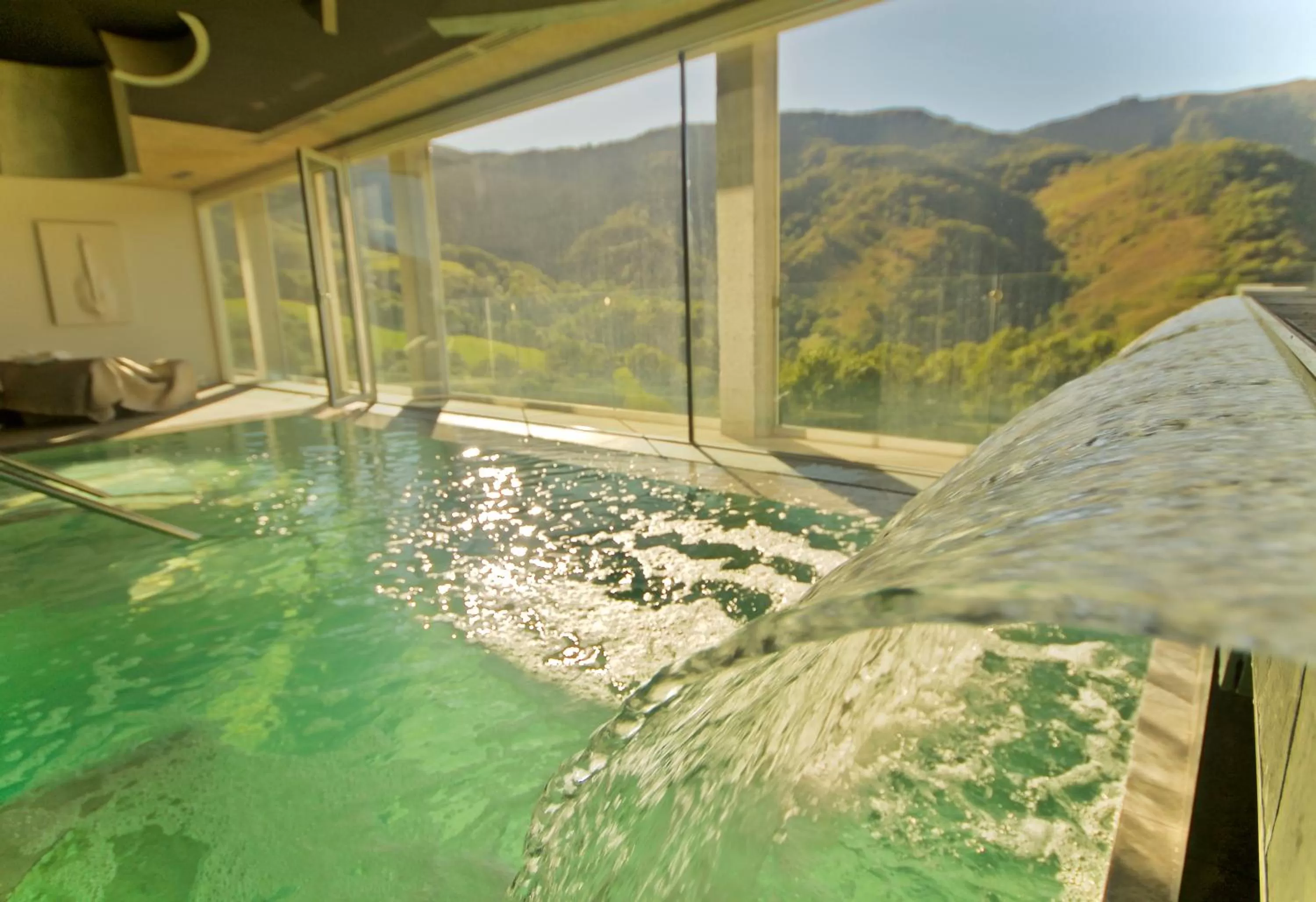 Hot Spring Bath, Swimming Pool in Arantza Hotela- Adults Only