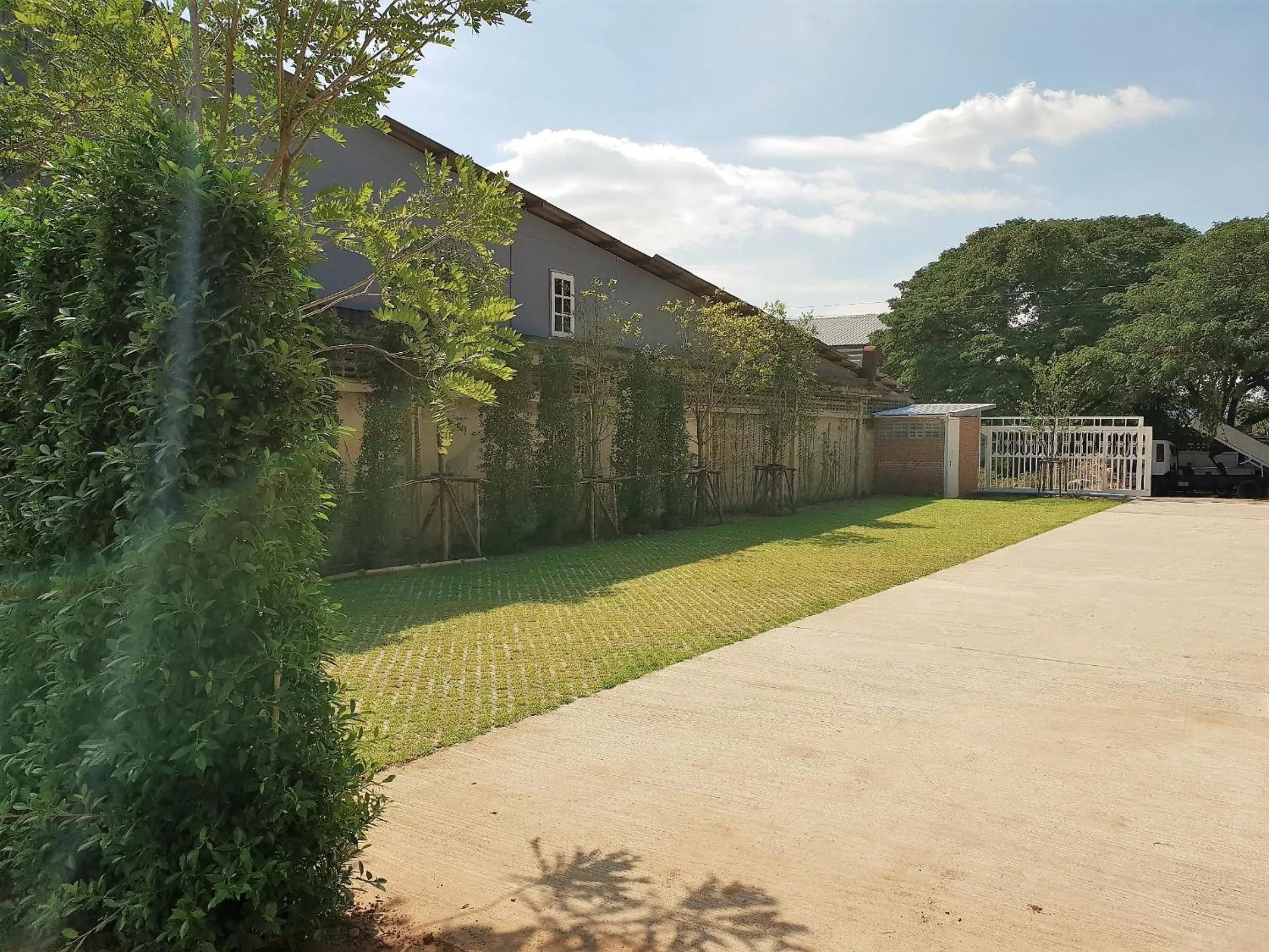 Garden in Latima Boutique Hostel