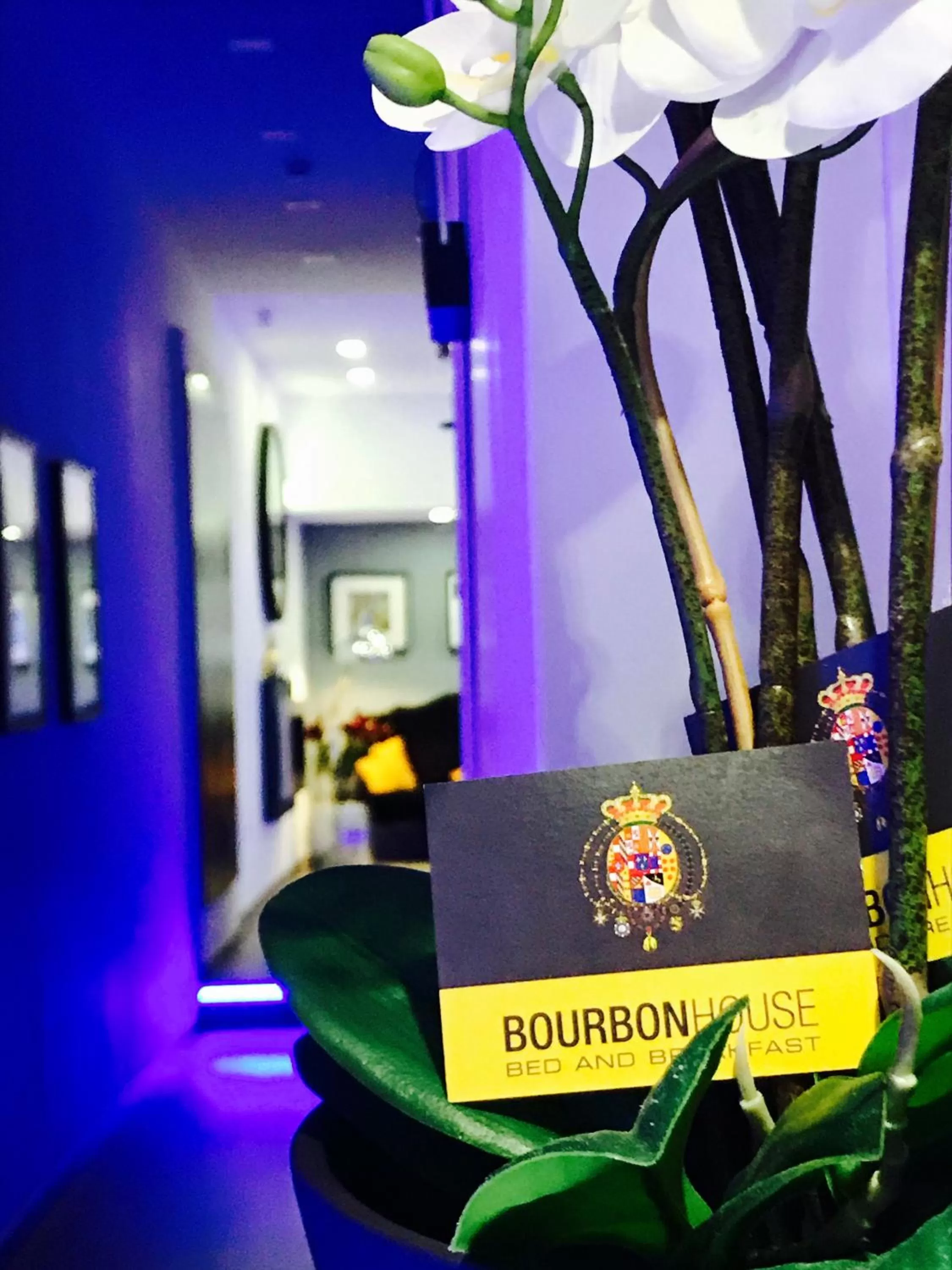 Decorative detail in Bourbon House