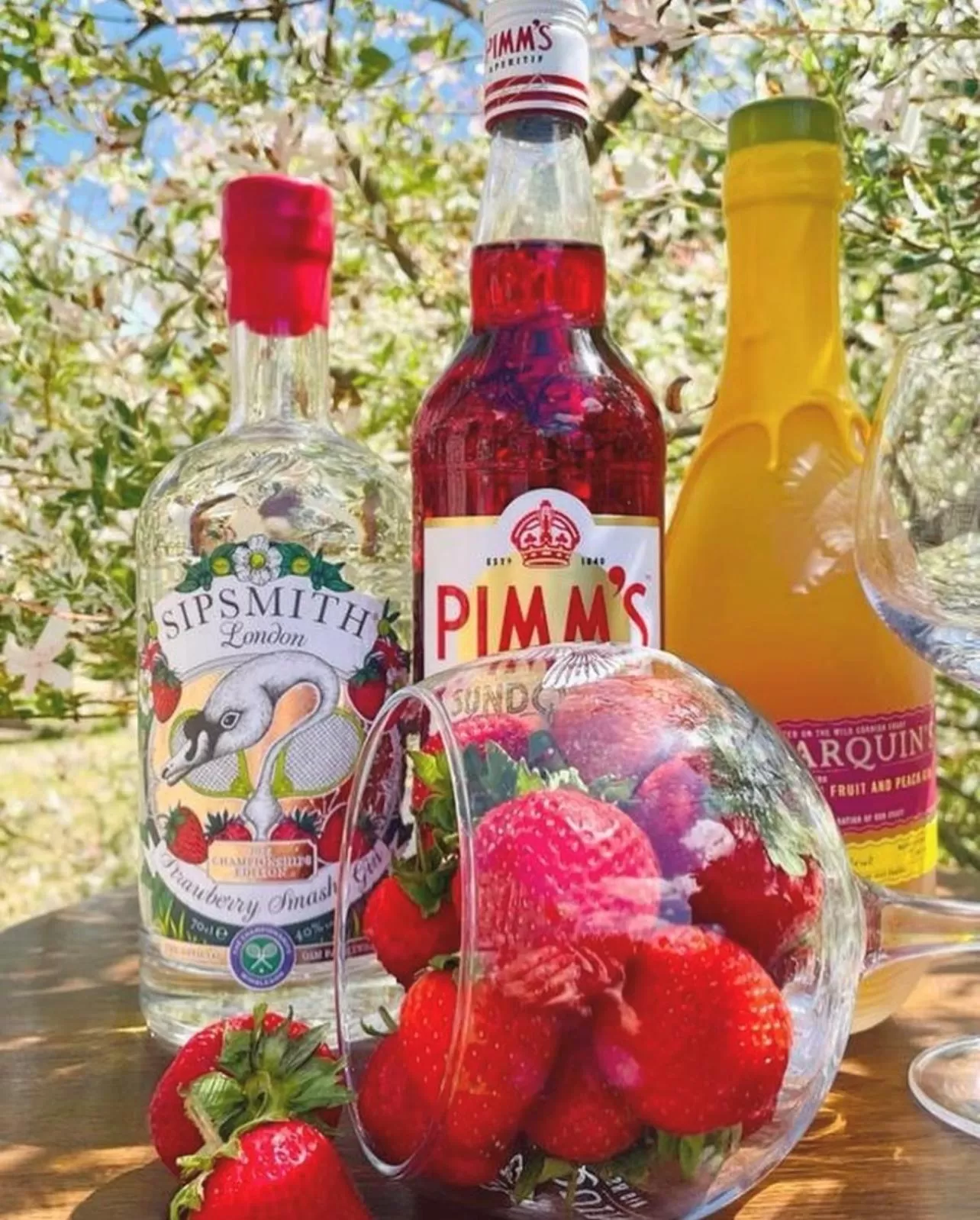 Garden in The Bell at Old Sodbury