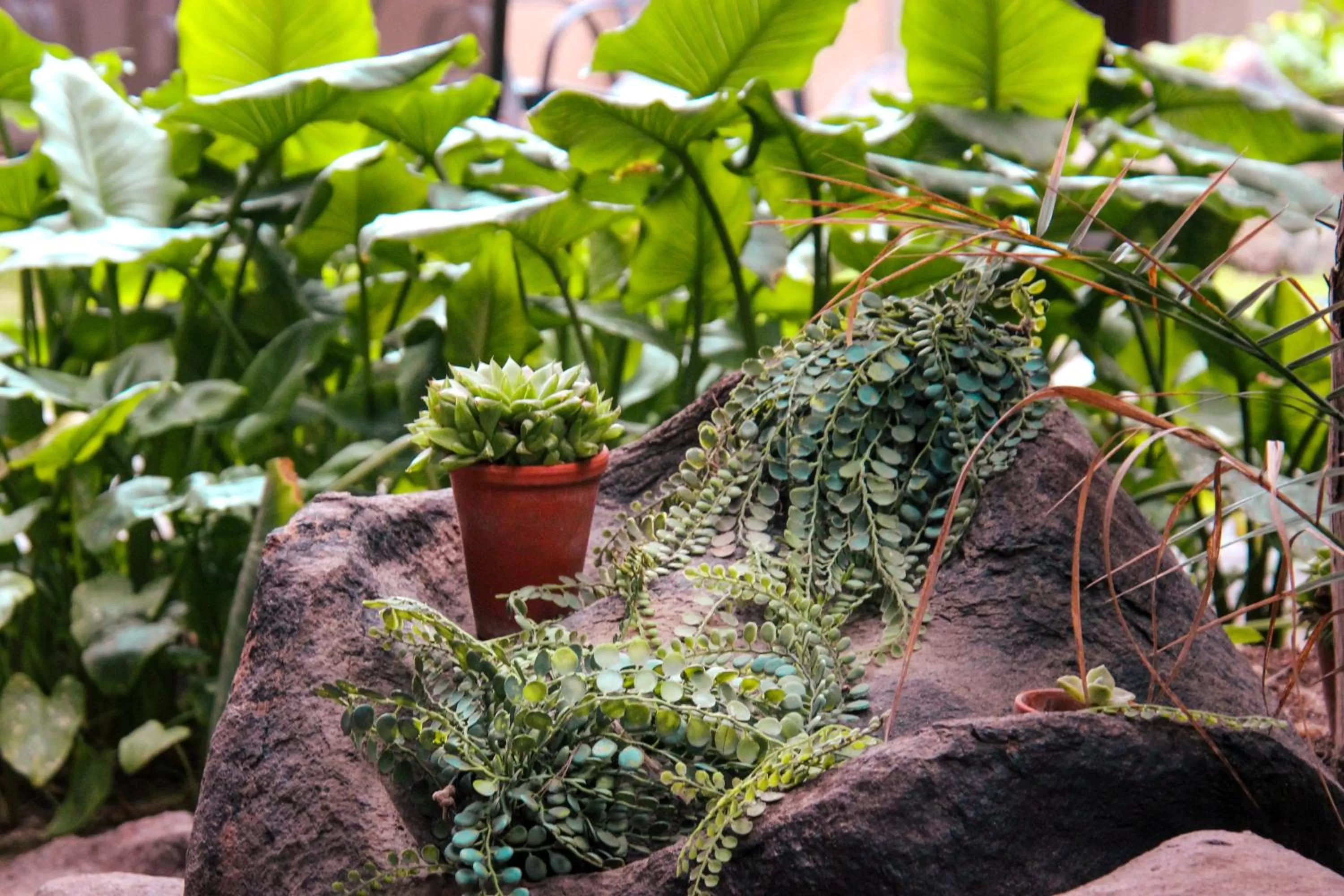 The Residence at Villa Wiese