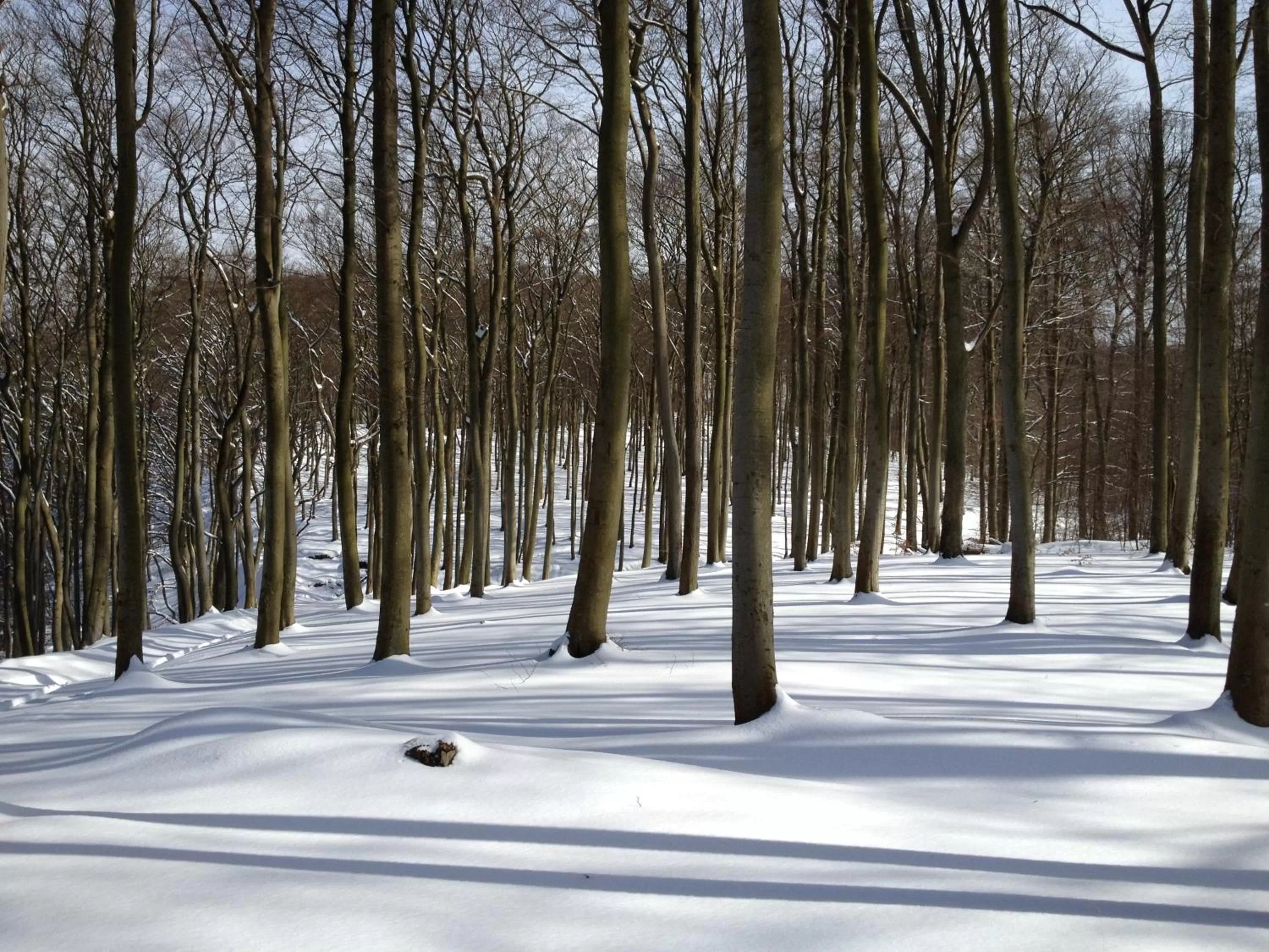 Area and facilities, Winter in Strandhotel zur Promenade