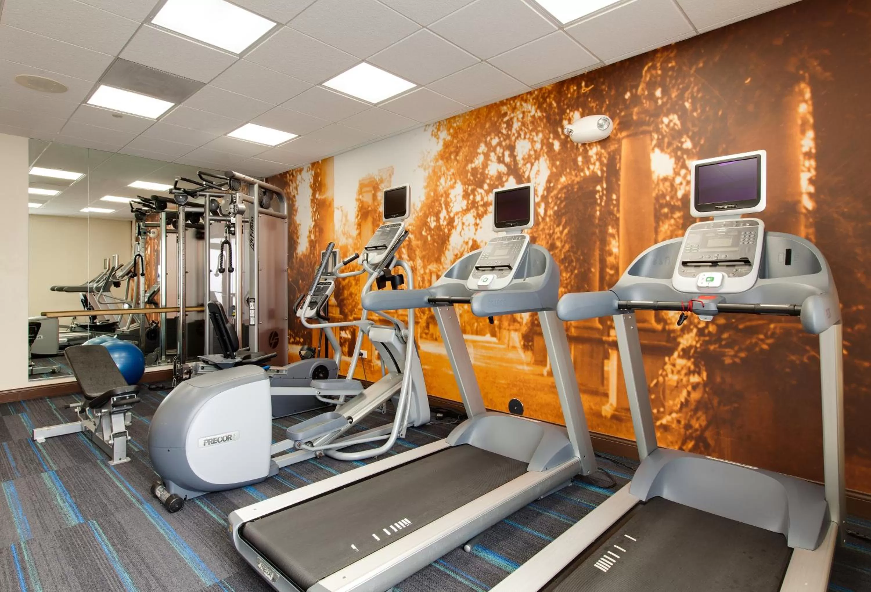 Fitness centre/facilities in Hotel Indigo Chicago - Vernon Hills by IHG