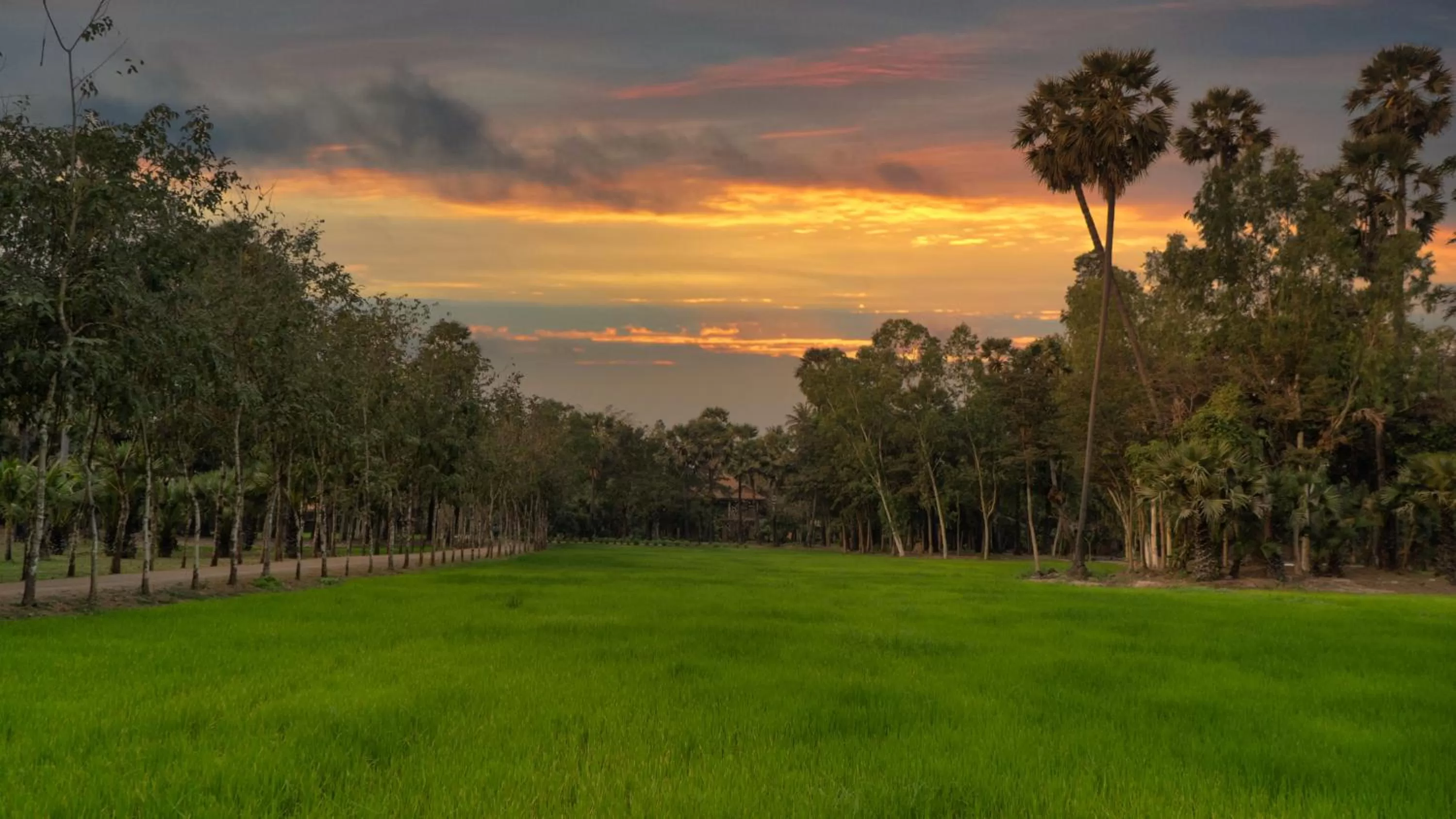 Garden in Mane Family Vacation