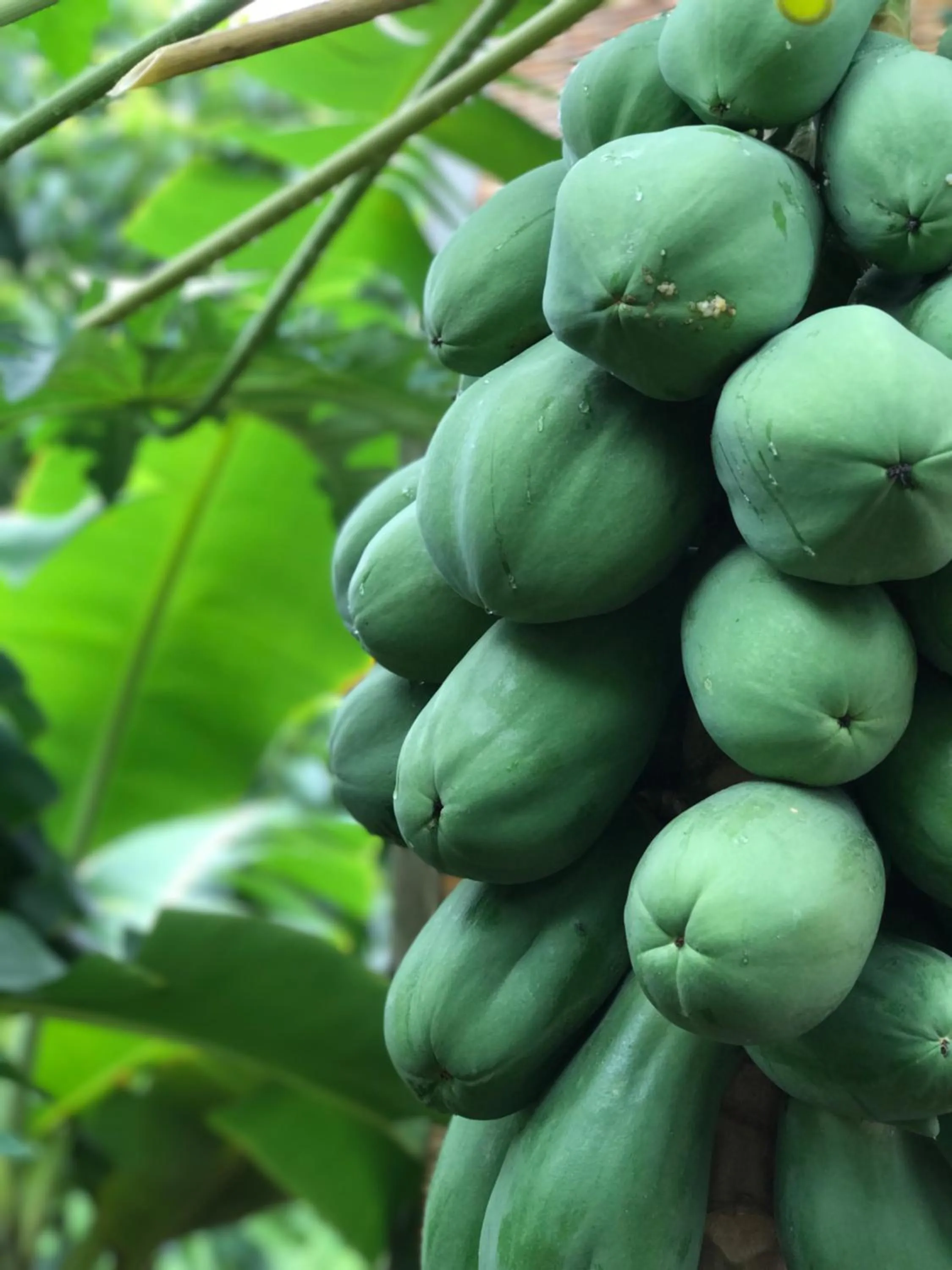 Food in Tam Coc Mountain View Homestay