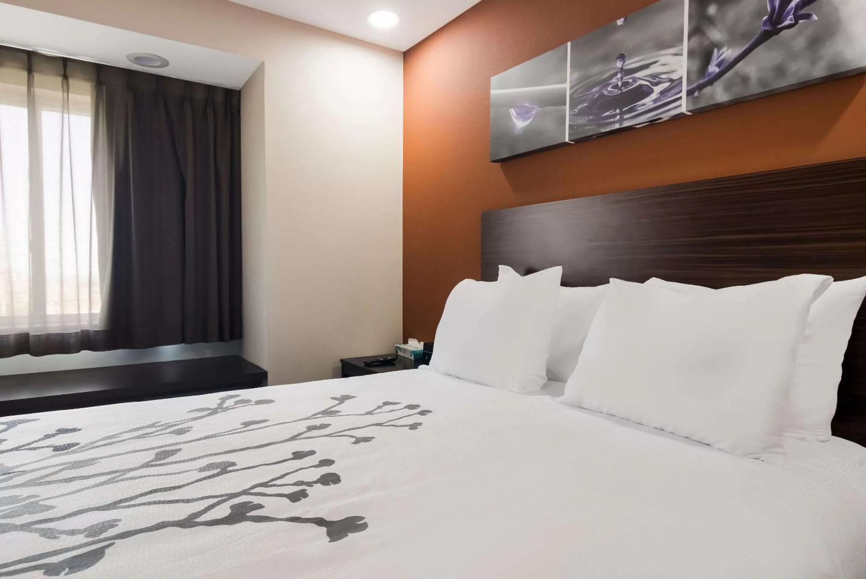 Bedroom, Bed in Sleep Inn Erie near Sports Center