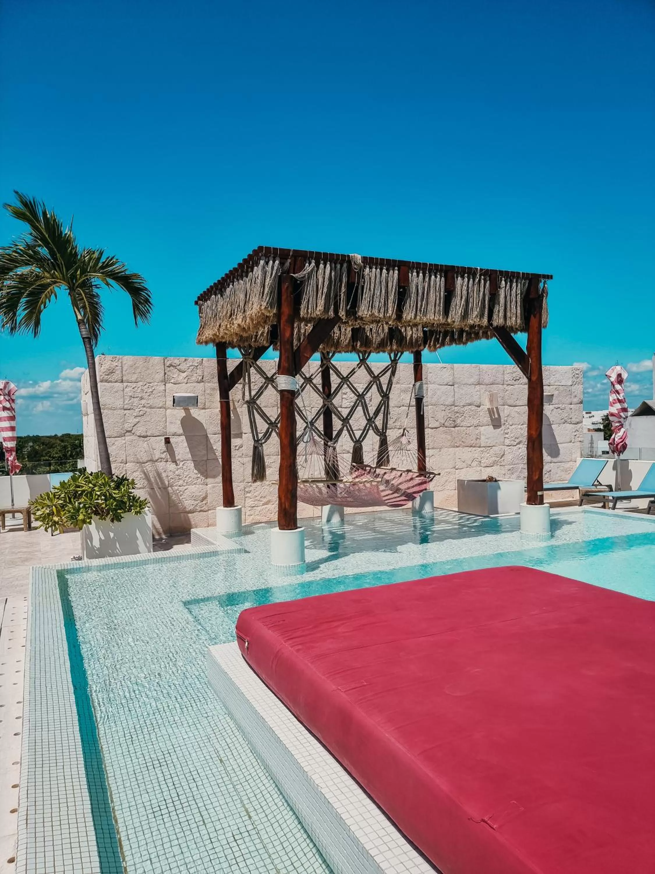 Swimming pool in Hotel The Palm