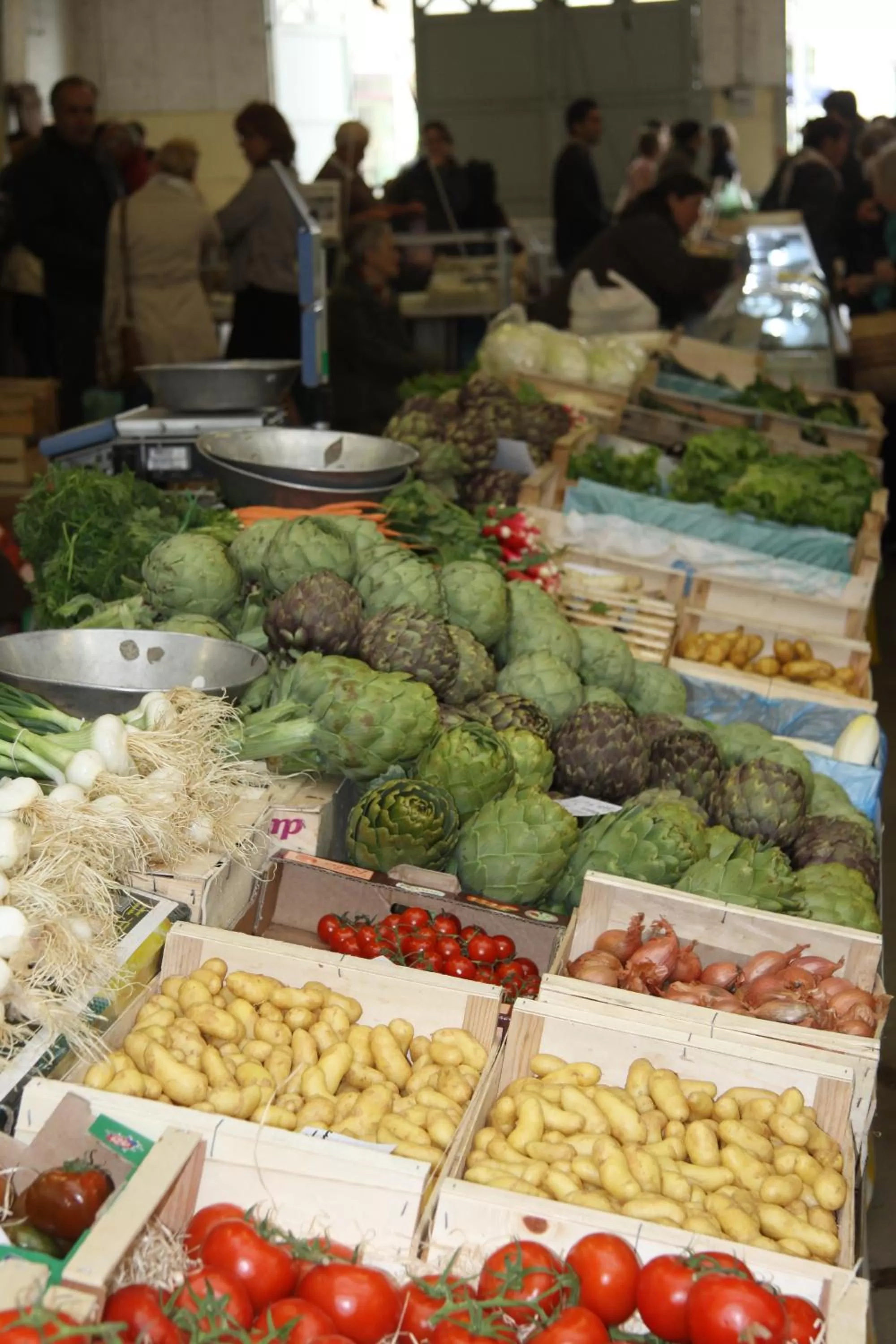 Neighbourhood in La Bastide de Fontaille