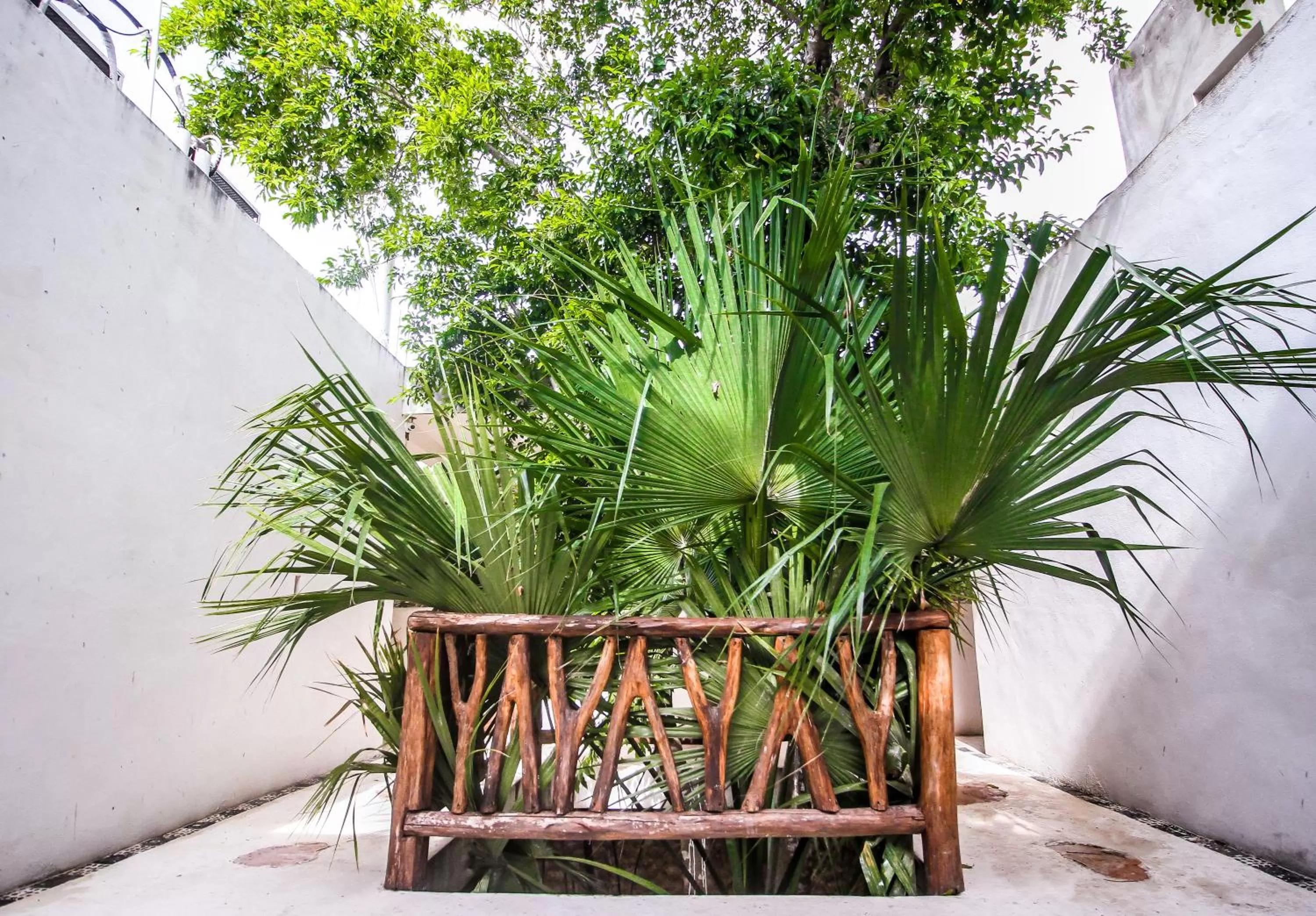 Spring in Corazon De Jade Tulum