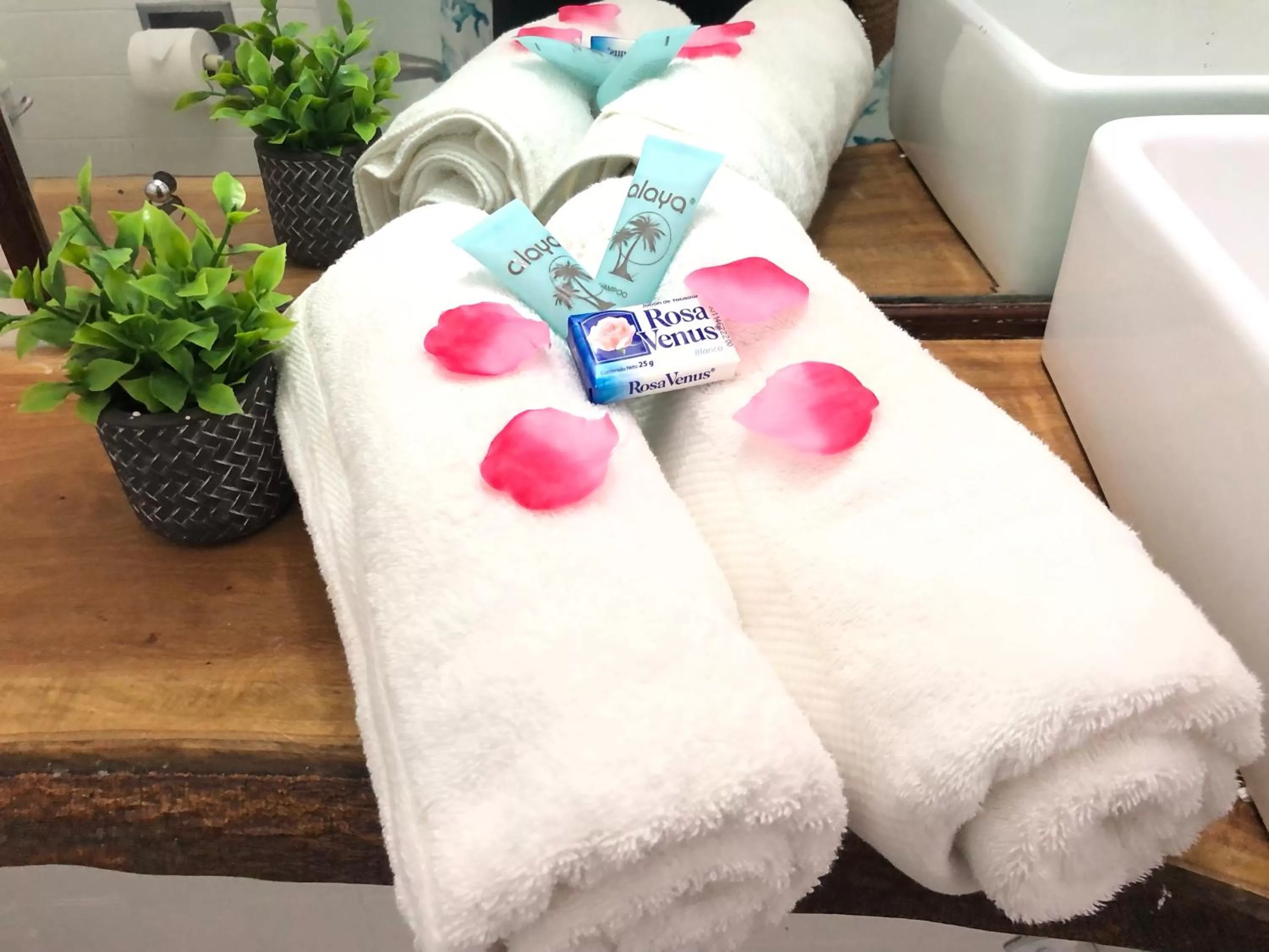 towels, Bed in Sand and Tan Beach Hotel