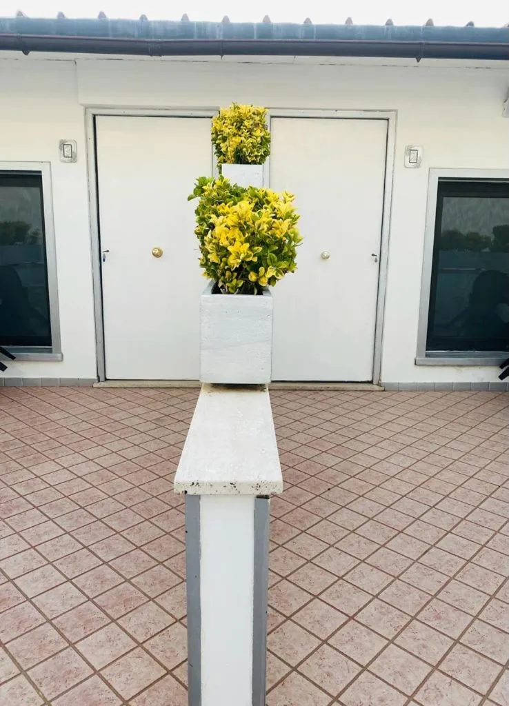 Patio in Airport Hotel