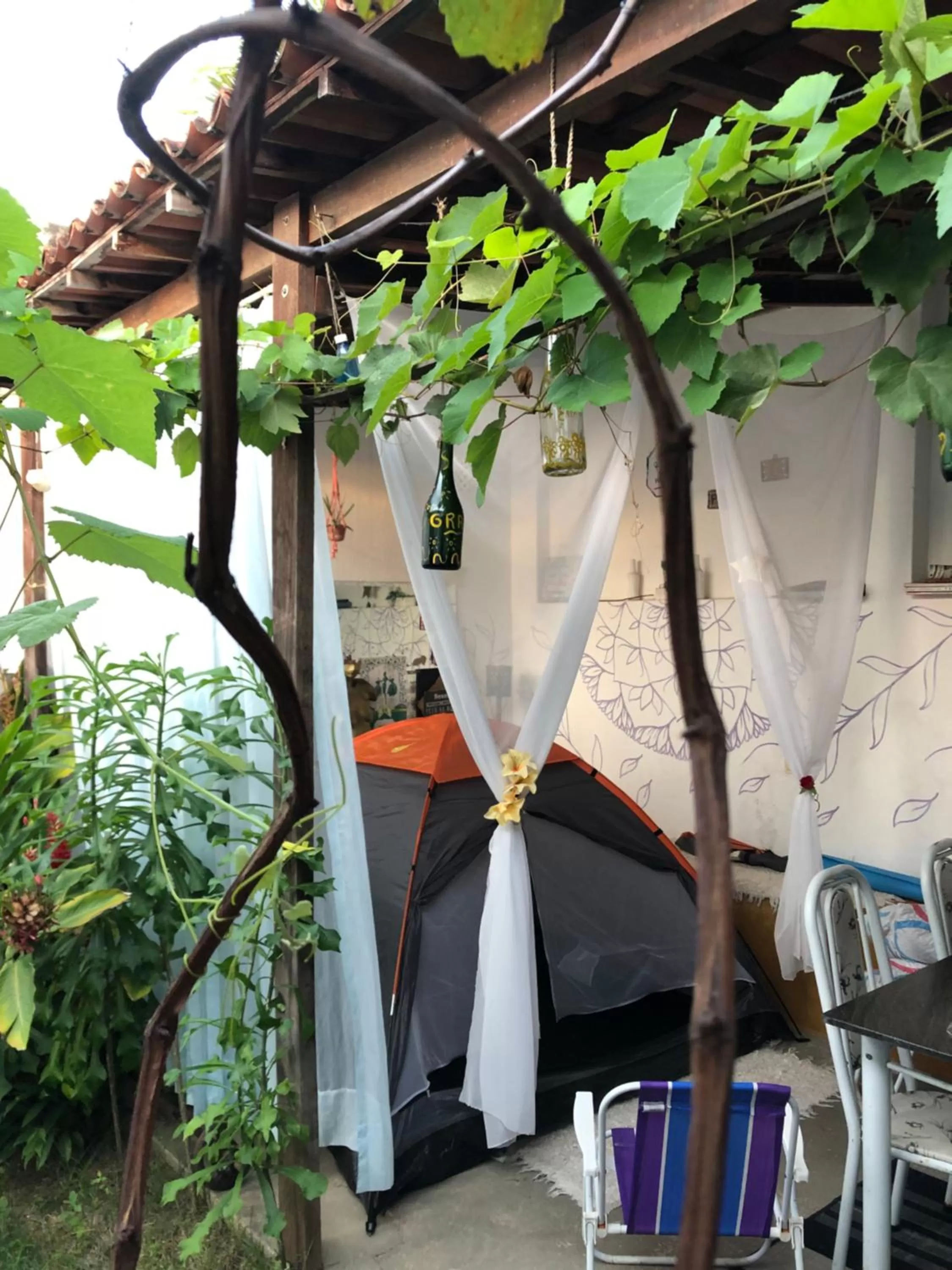 Patio in Hostel Das Canárias