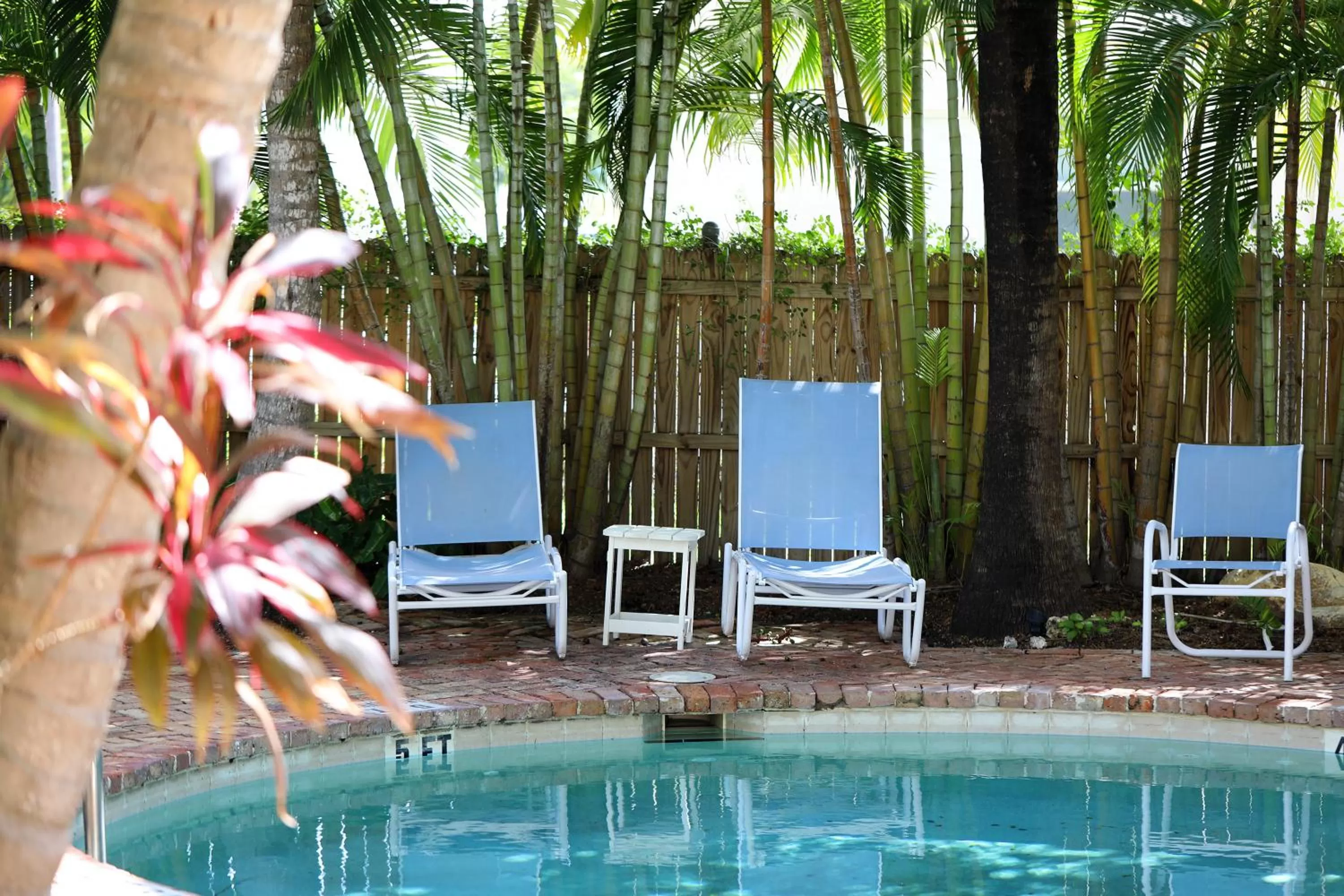 Spring, Swimming Pool in Tranquillity