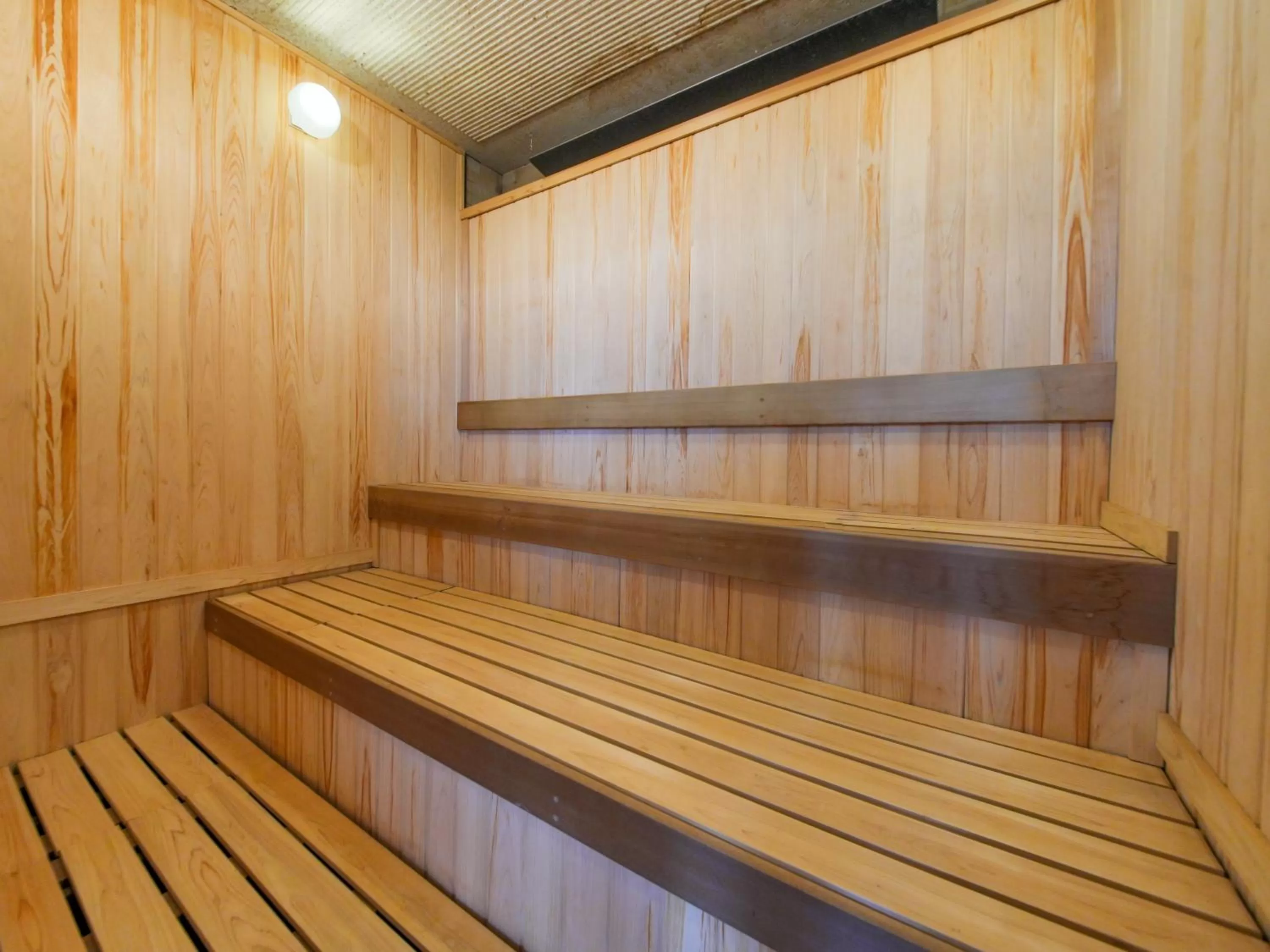 Sauna in APA Hotel Takasaki Ekimae