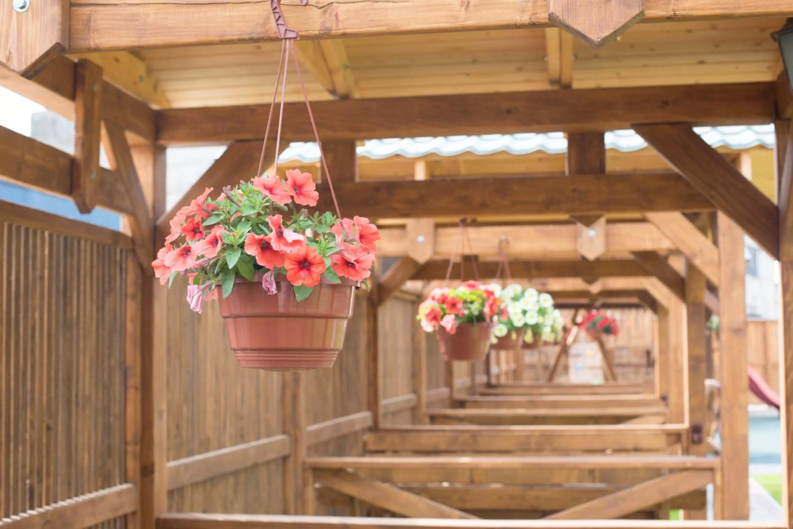 View (from property/room) in Praktik Hotel & Restaurant