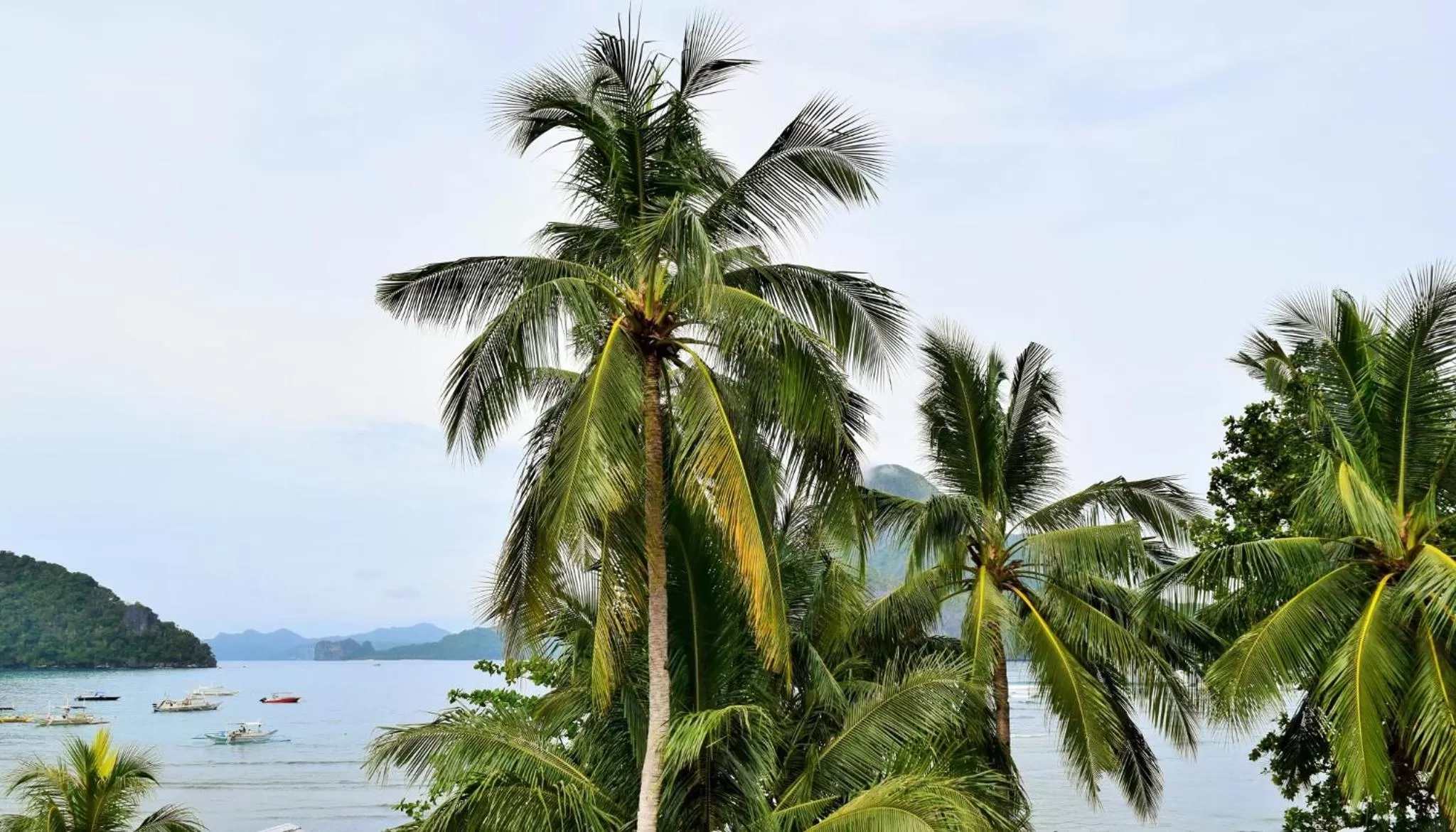 Natural landscape in Angel Nido Resort