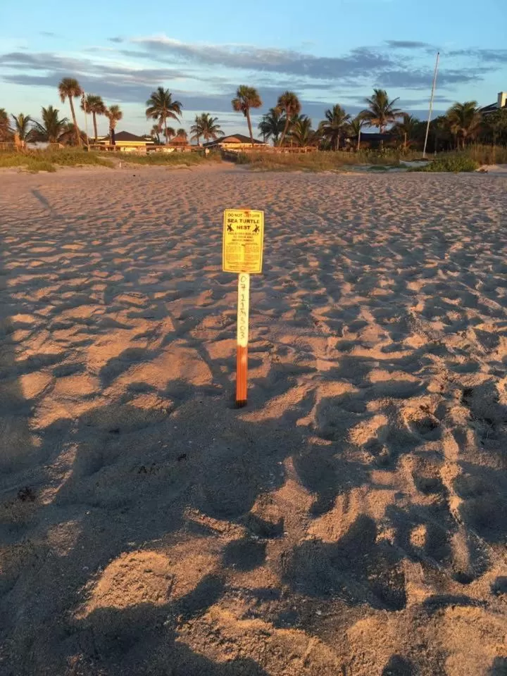 Other in Surf Studio Beach Resort