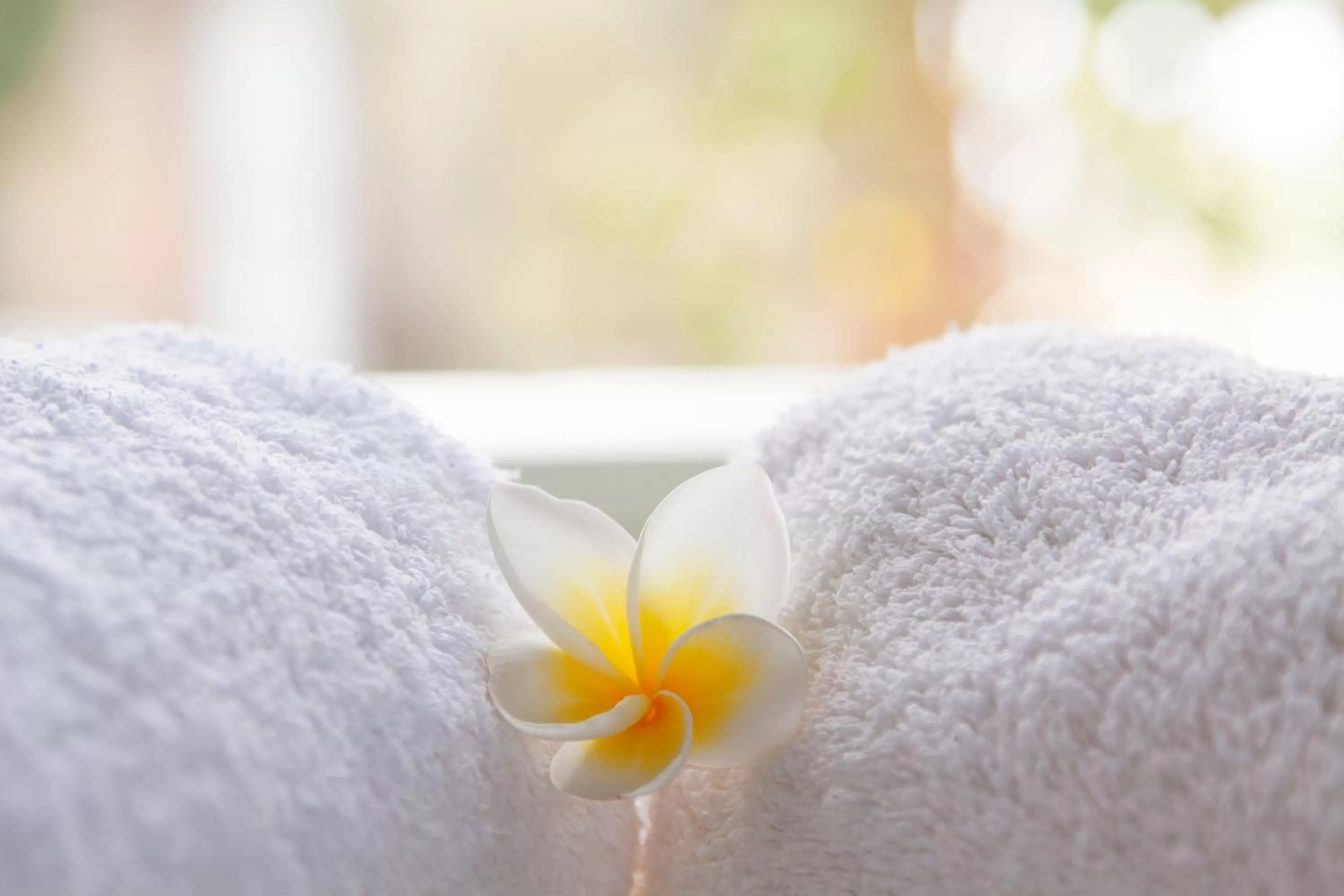 Area and facilities in Ahilya By The Sea