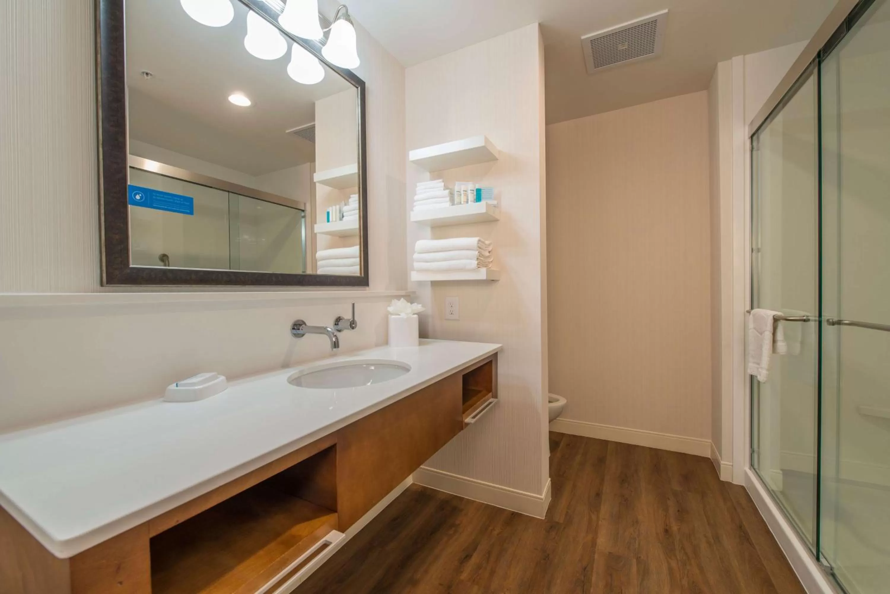 Bathroom in Hampton Inn Waynesboro