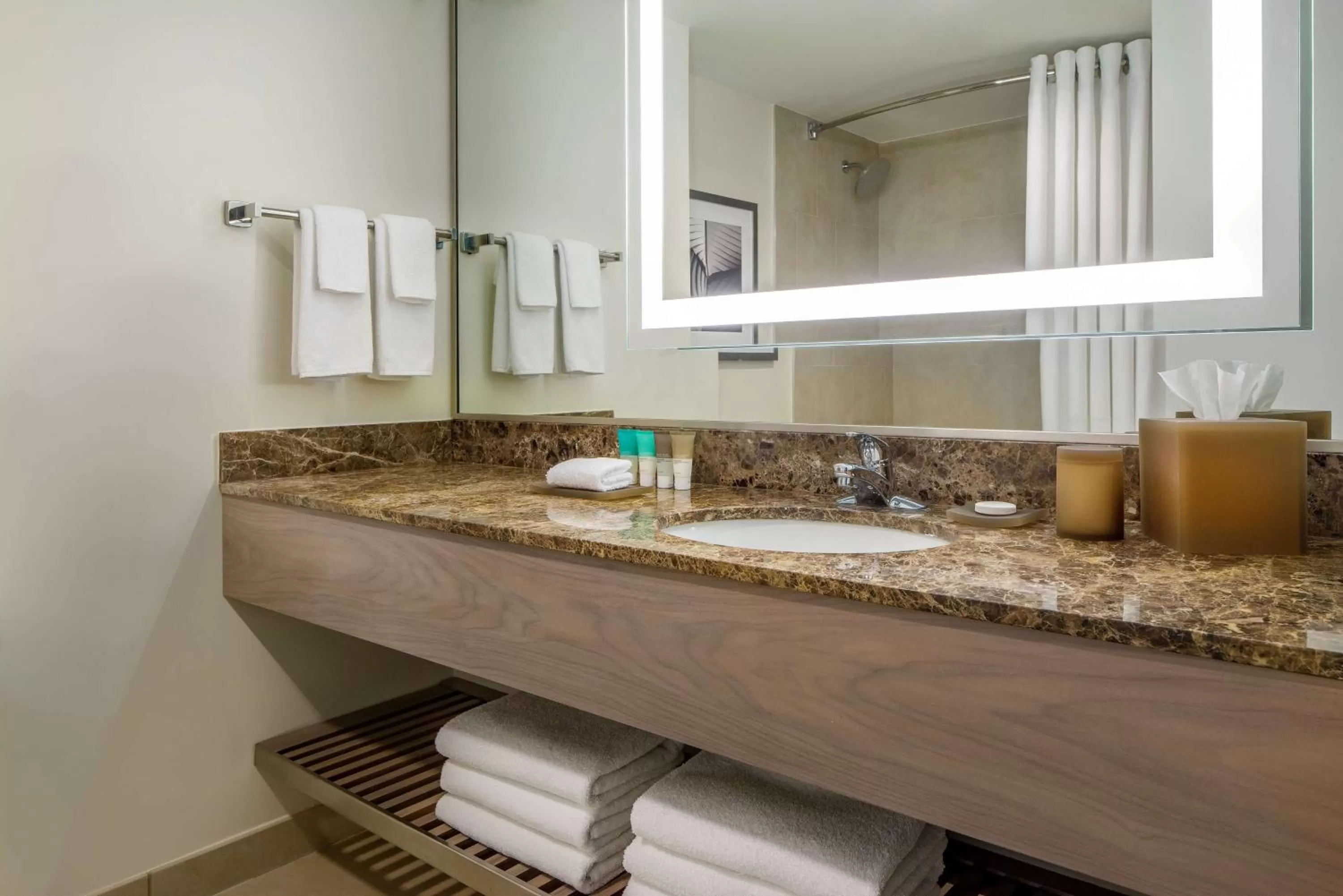 Bathroom in Hyatt Regency Jacksonville Riverfront