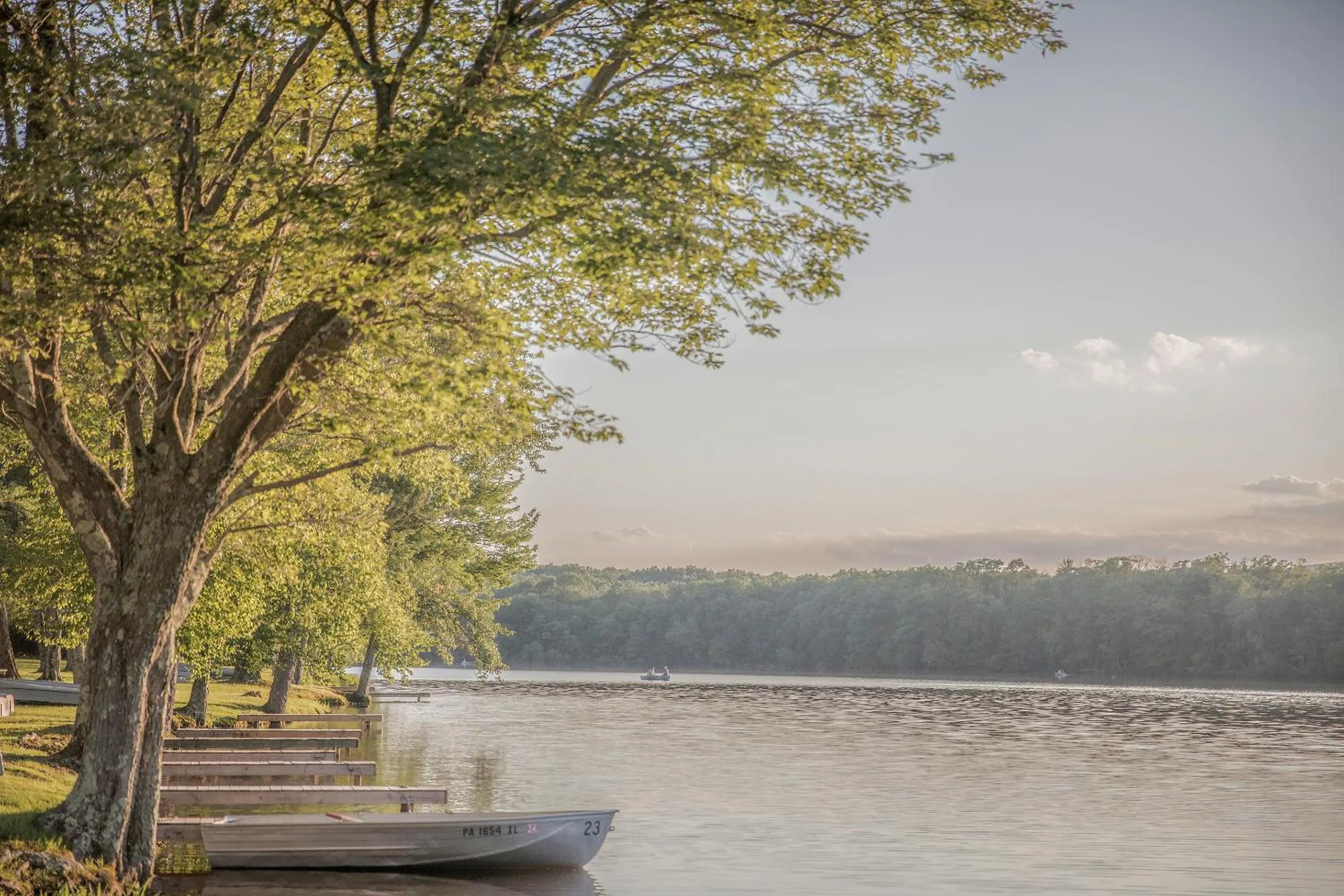 Natural landscape in Mountain Springs Lake Resort