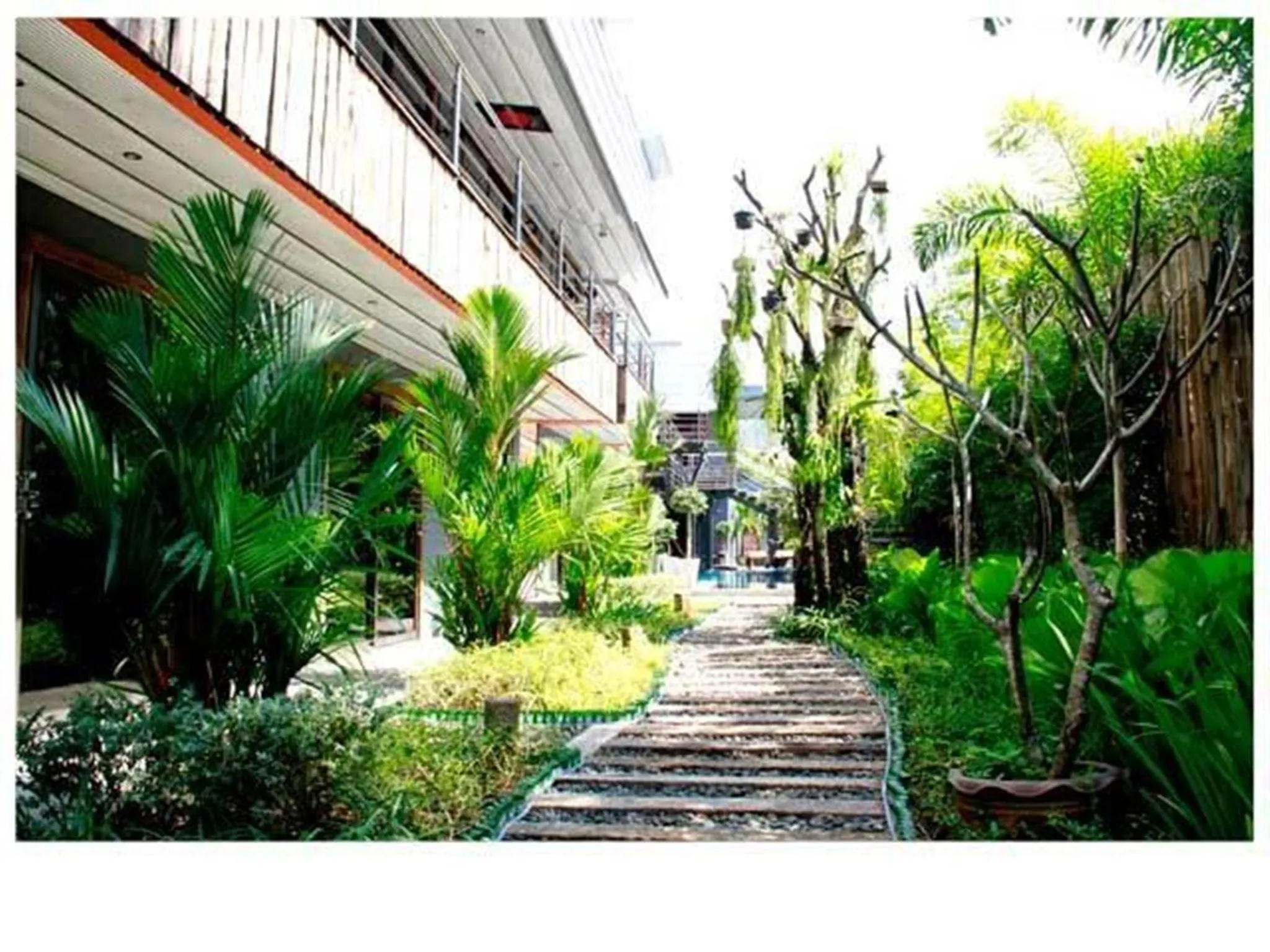 Garden in Nicky's Handlebar