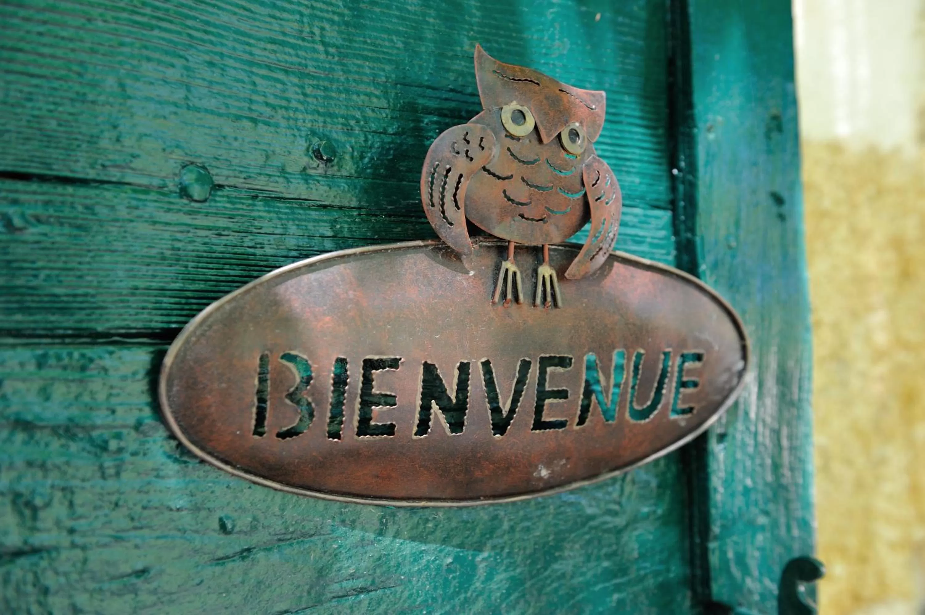 Decorative detail in Chambres d'Hotes Domaine des Machottes