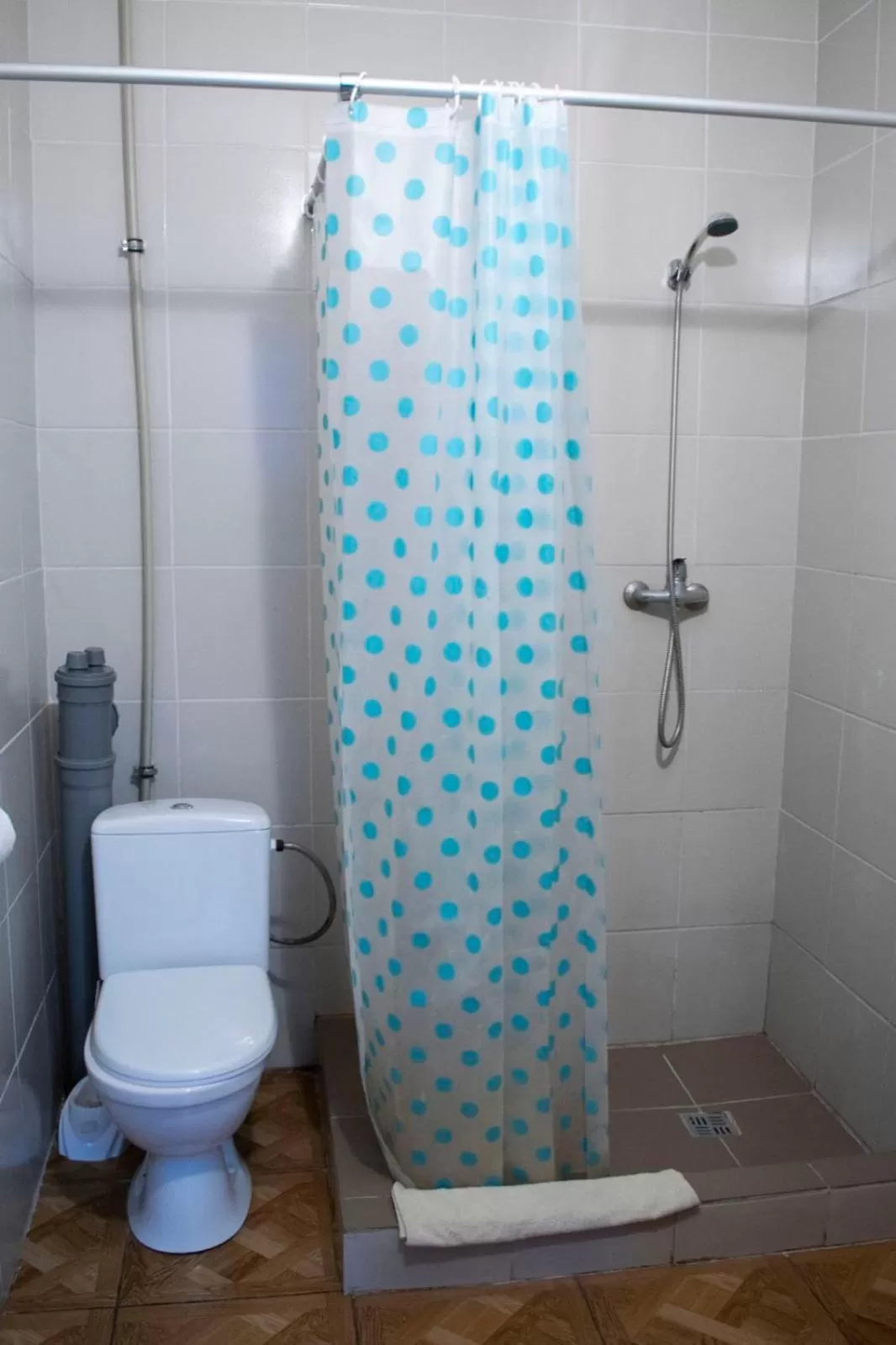 Bathroom in Zelenyi Kampus