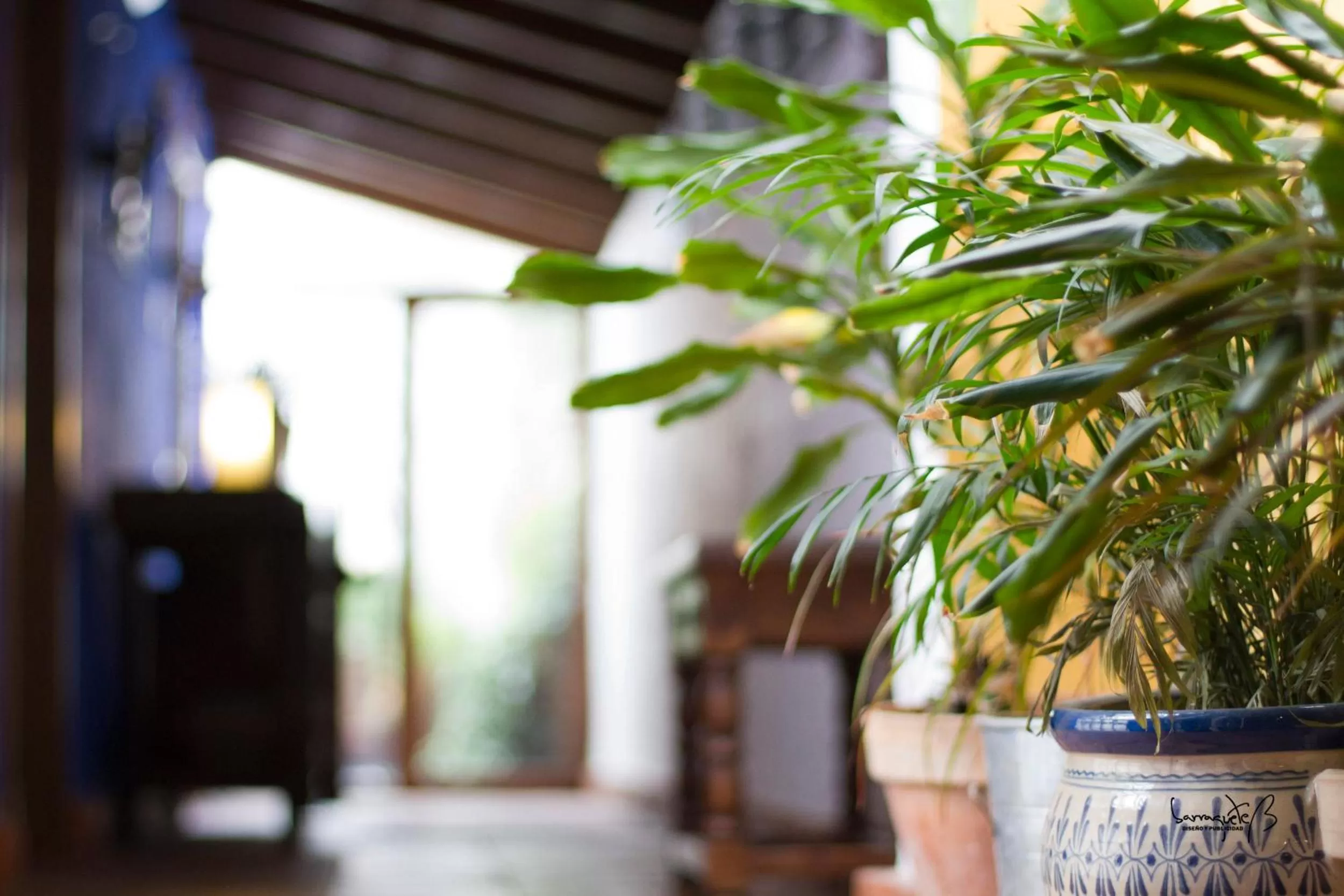 Property building in La Casona del Abuelo Parra