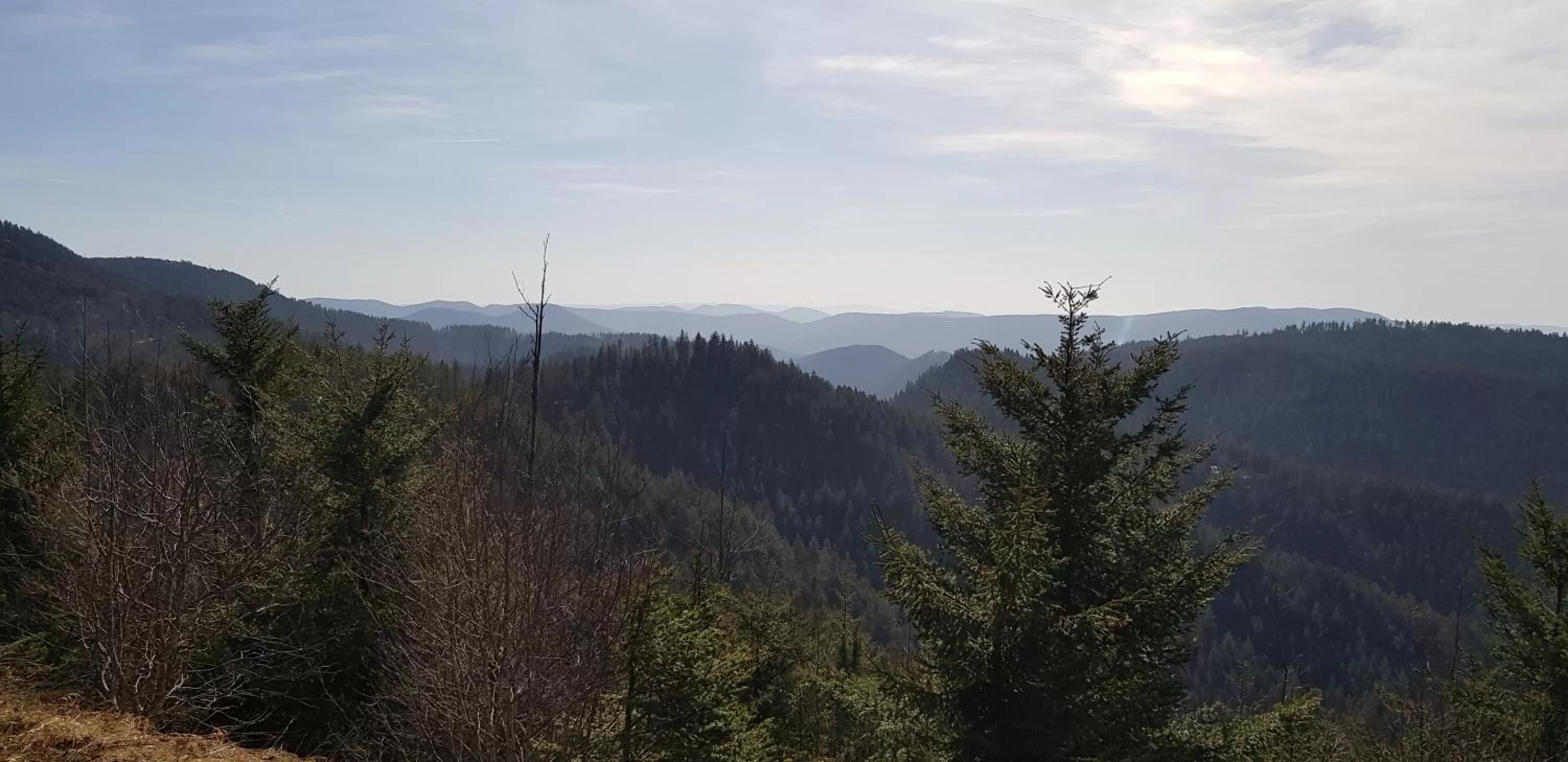Natural landscape in Hotel Teuchelwald