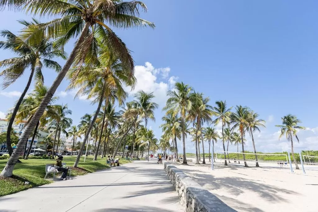 Beach in Urbanica Fifth