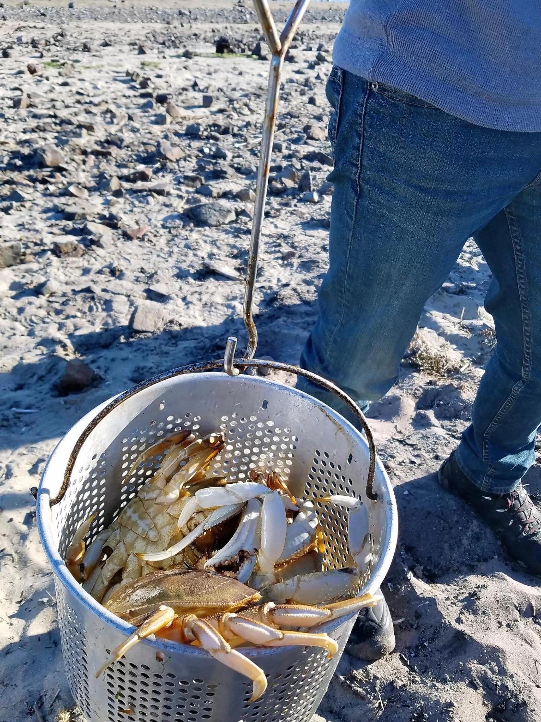 Activities in The Waldport Inn