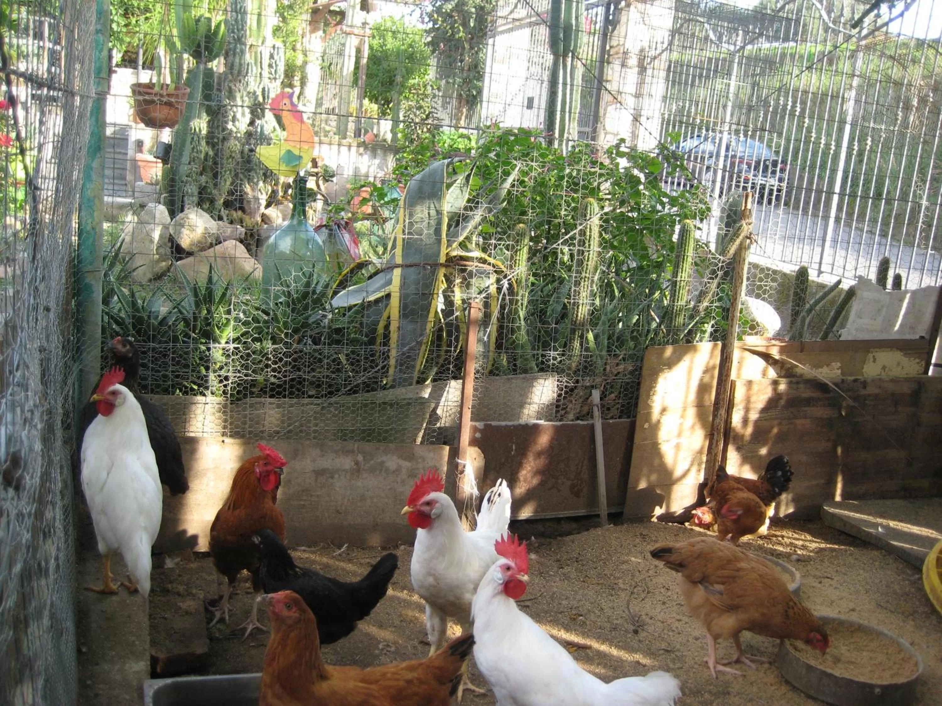 Pets in Oasi del Lago