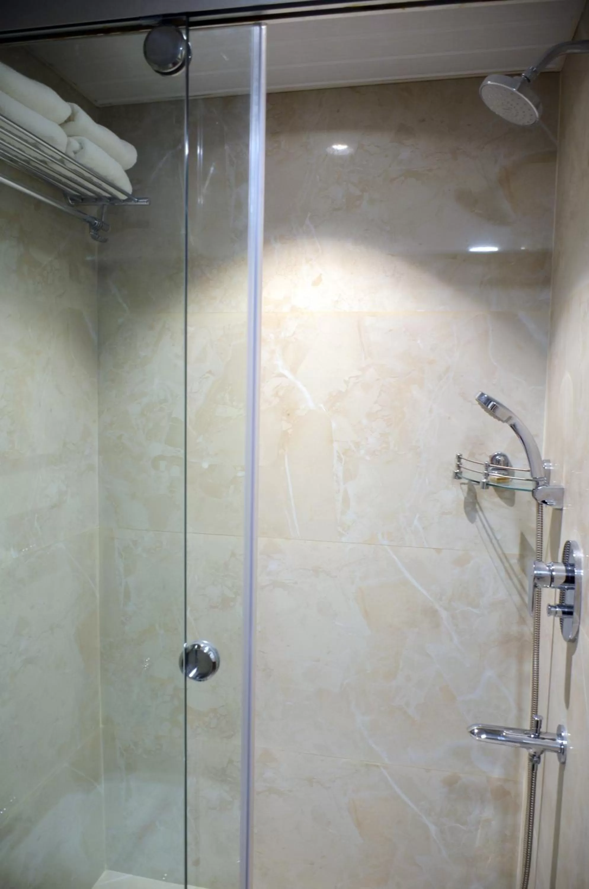 Shower in Hotel Radiance