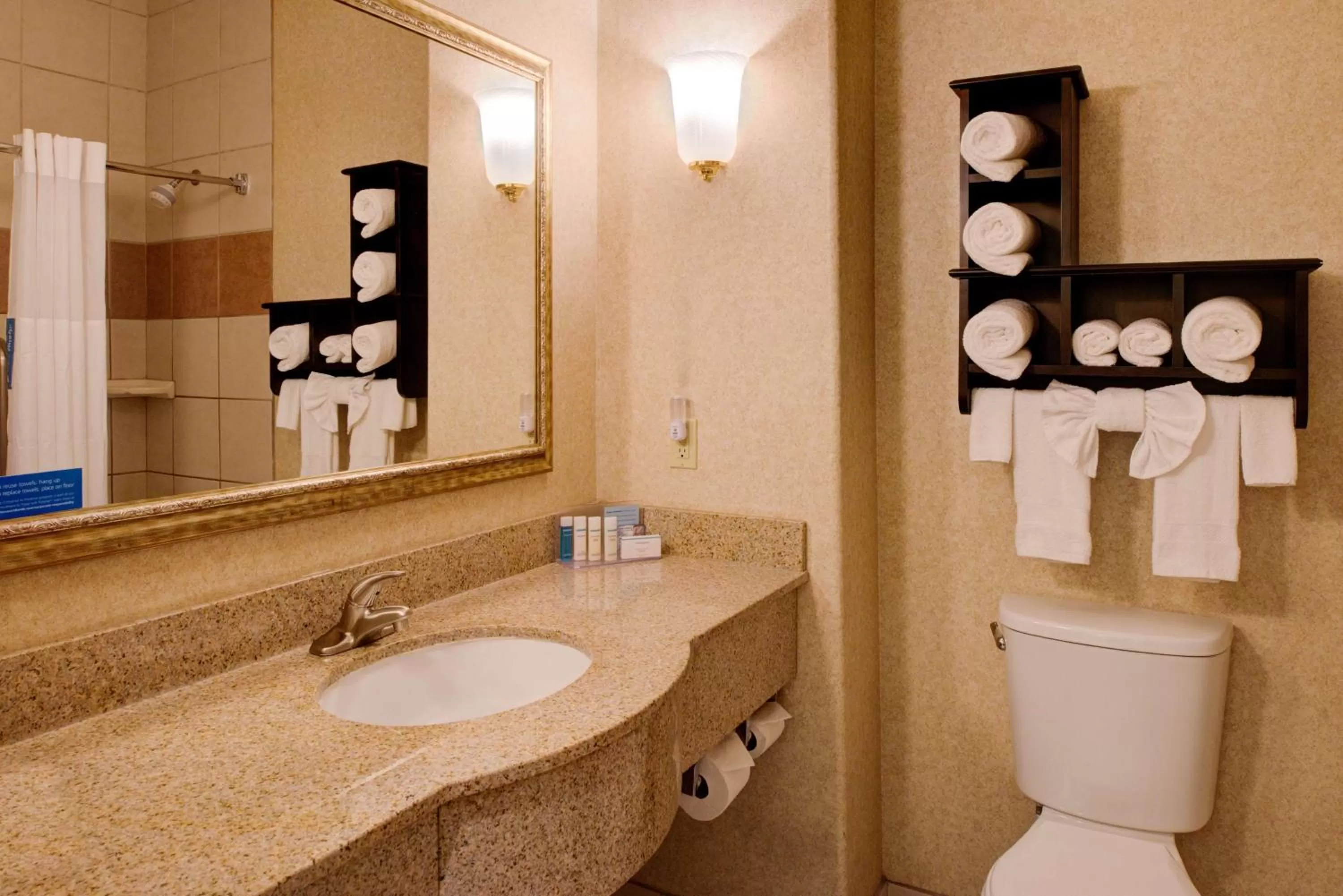 Bathroom in Hampton Inn & Suites Ontario