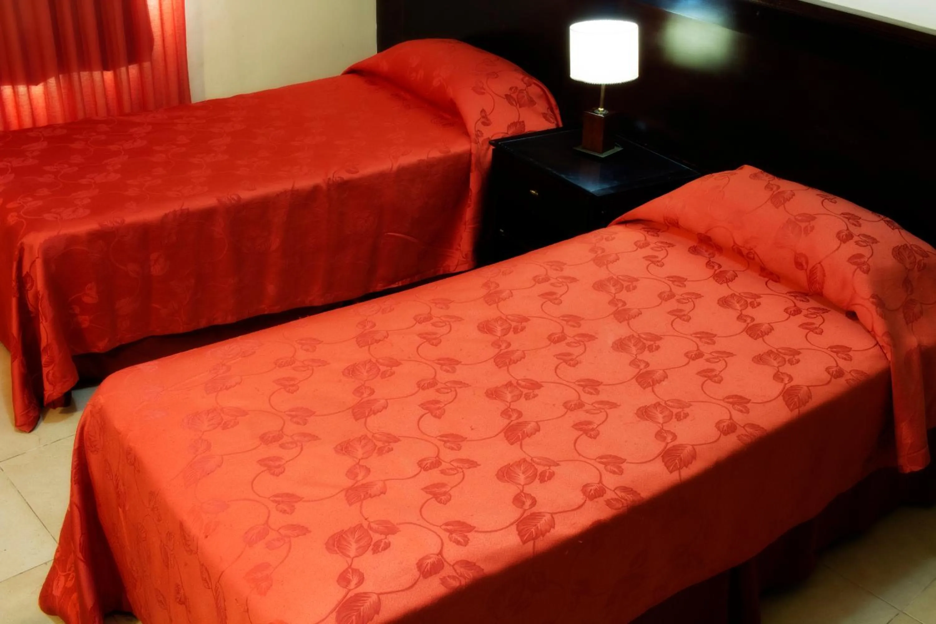 Standard Double or Twin Room in Hotel El Libertador