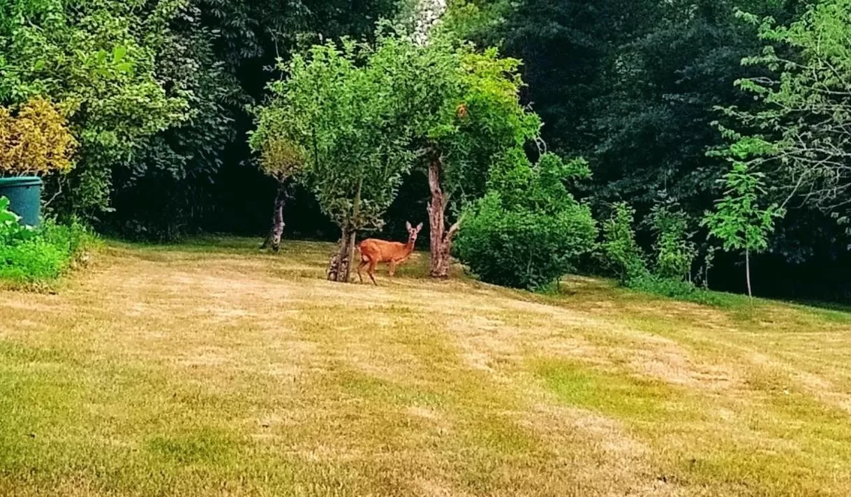 Property building, Garden in Maison Grandsire Chambres D'Hôtes