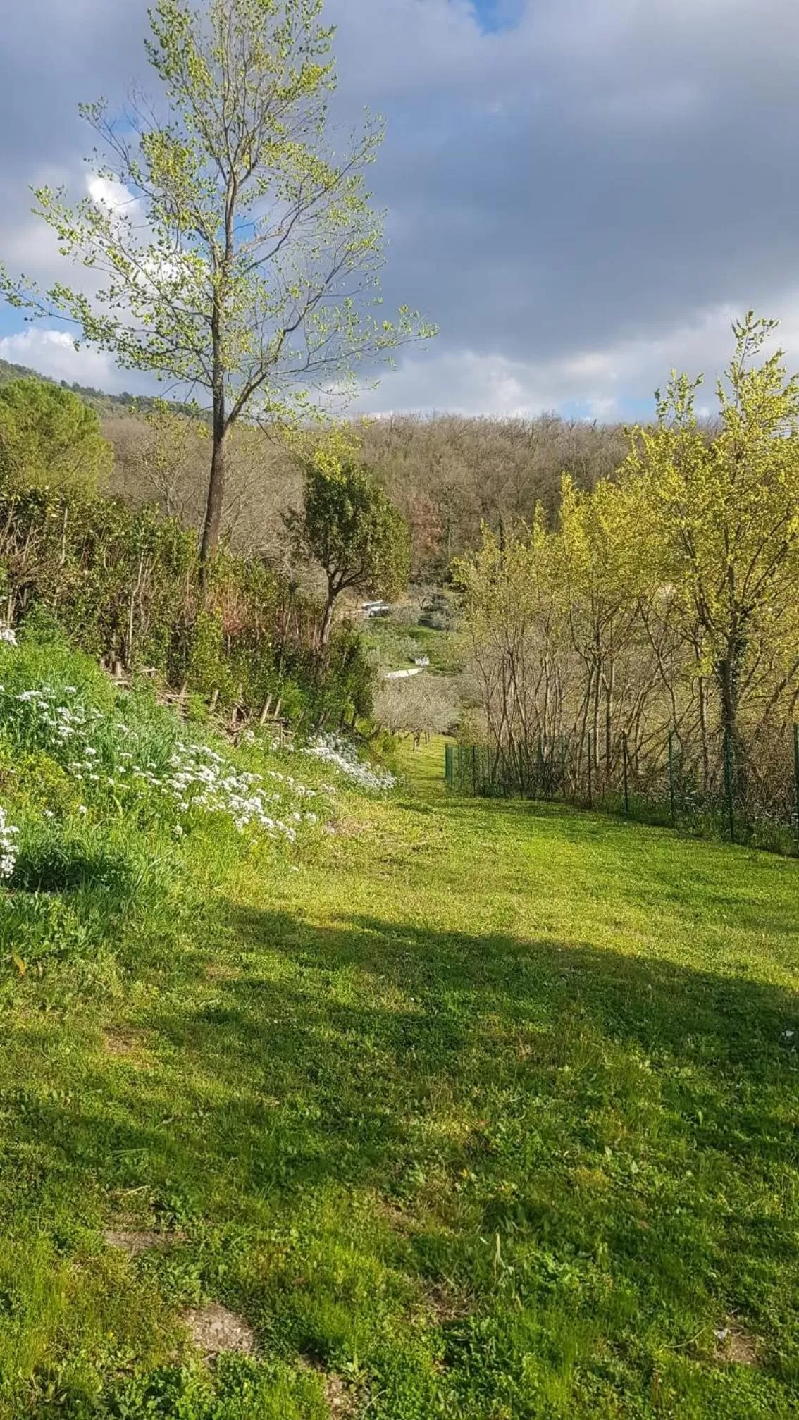 Domus Antiqua Bed & Breakfast