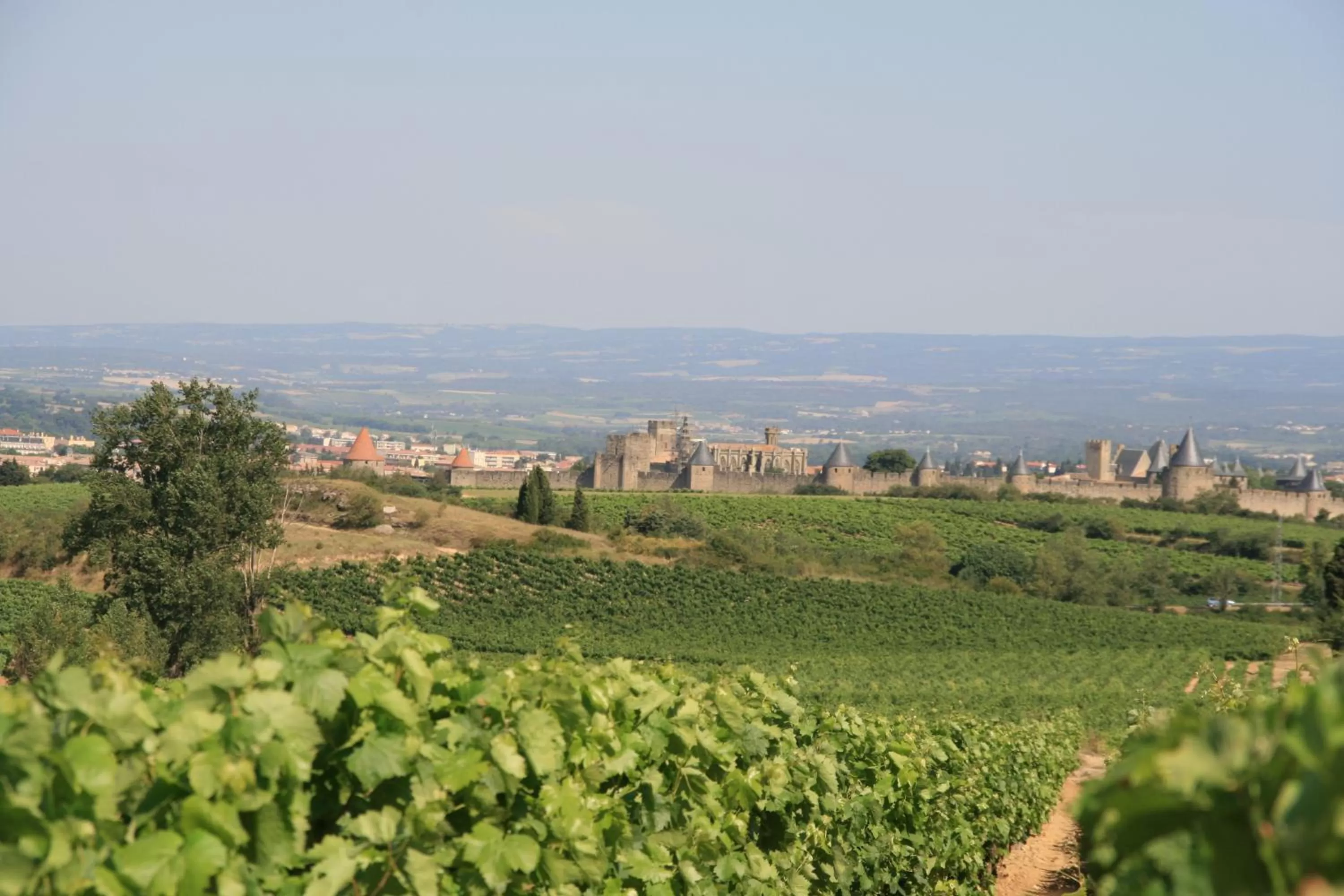 Area and facilities in La Maison sur la Colline