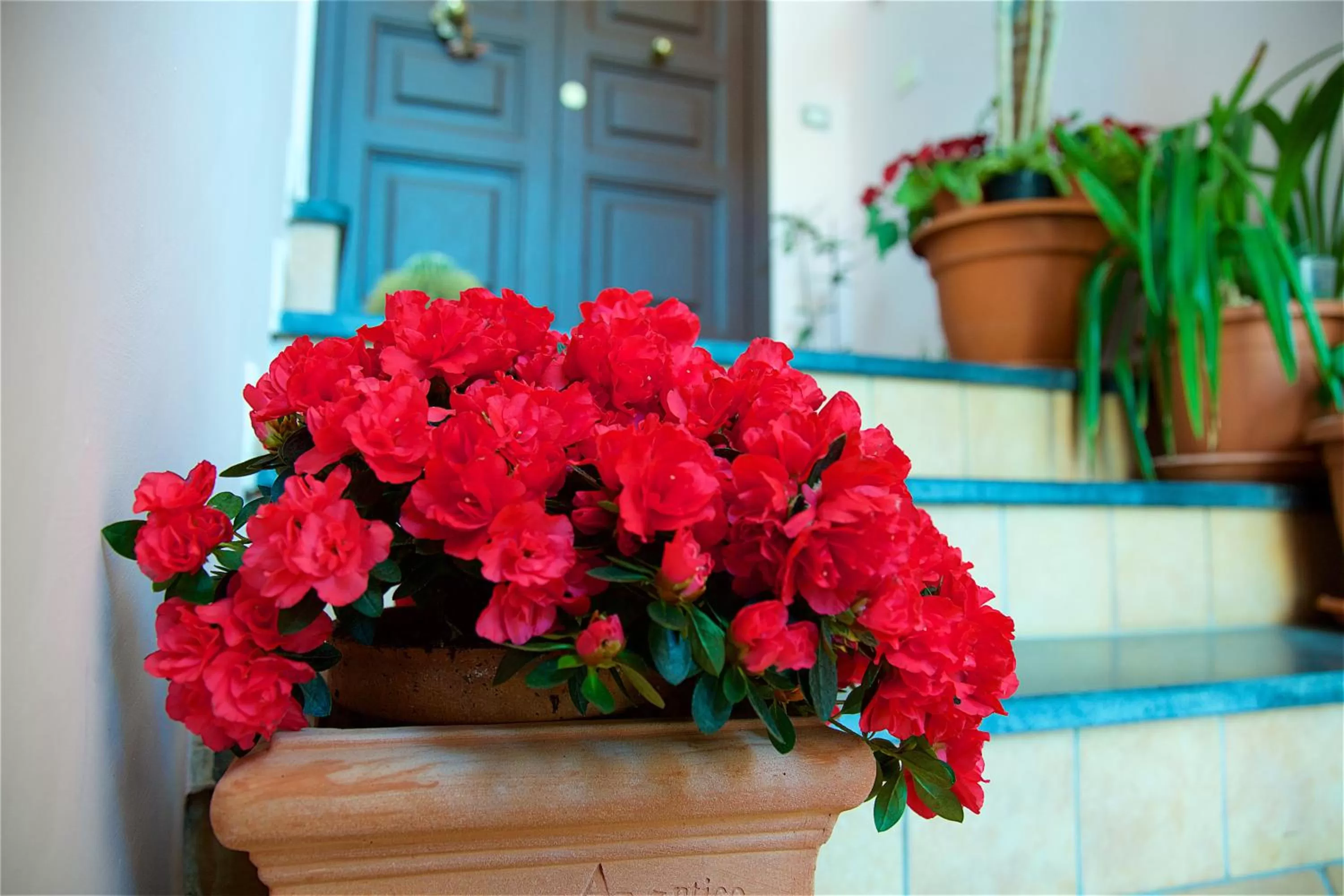 Lobby or reception in Il Giardino Segreto