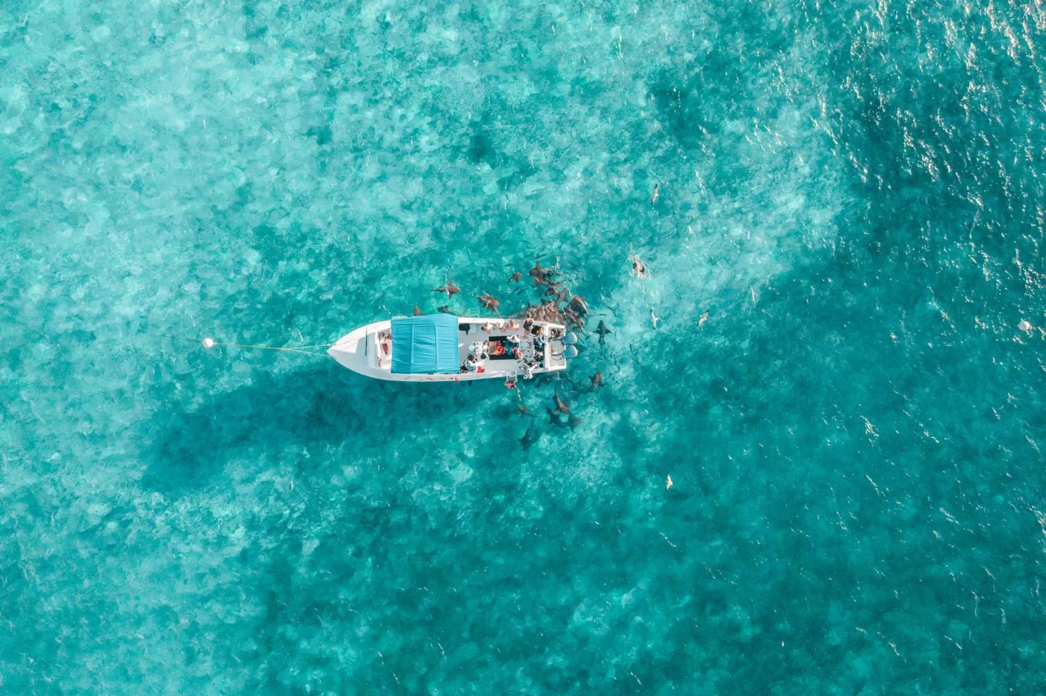 Activities in Margaritaville Beach Resort Ambergris Caye - Belize