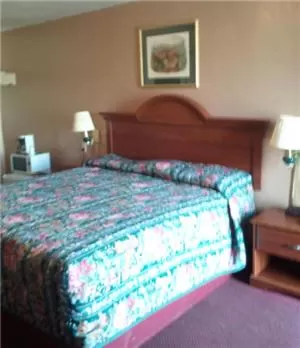 Bed in Shamrock Motel Hot Springs