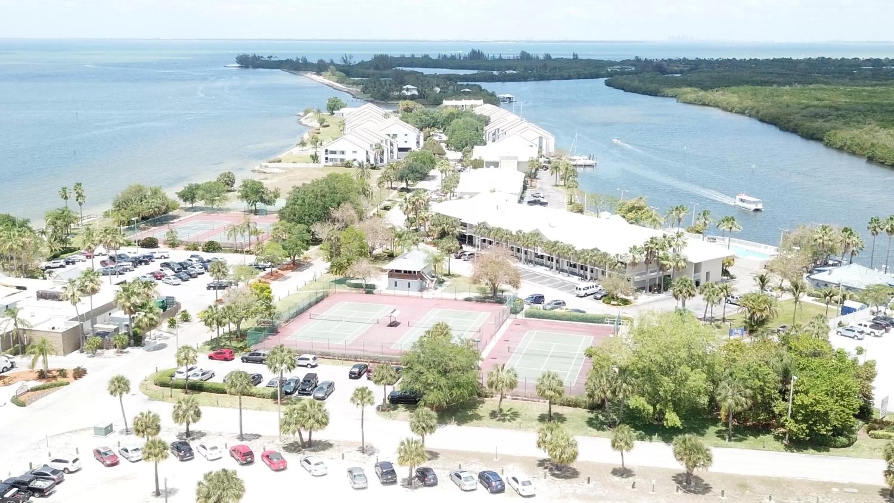Area and facilities in TAMPA BAY, BEACH step away, WIFI, FREE PARKING,POOLS, JACUZZI