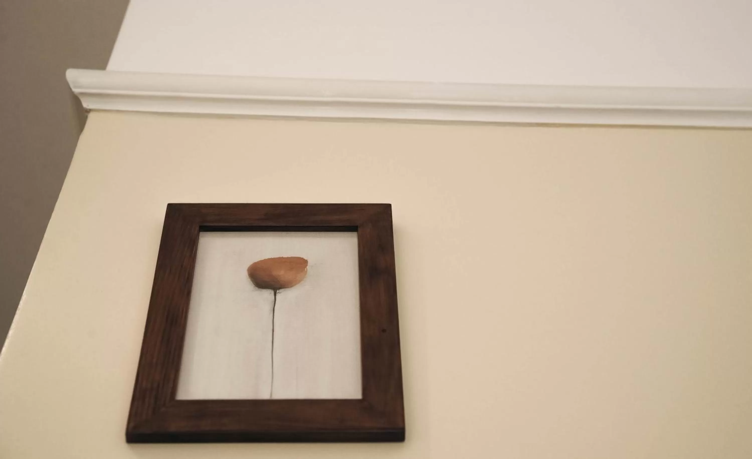 Decorative detail in Dolphin Hotel