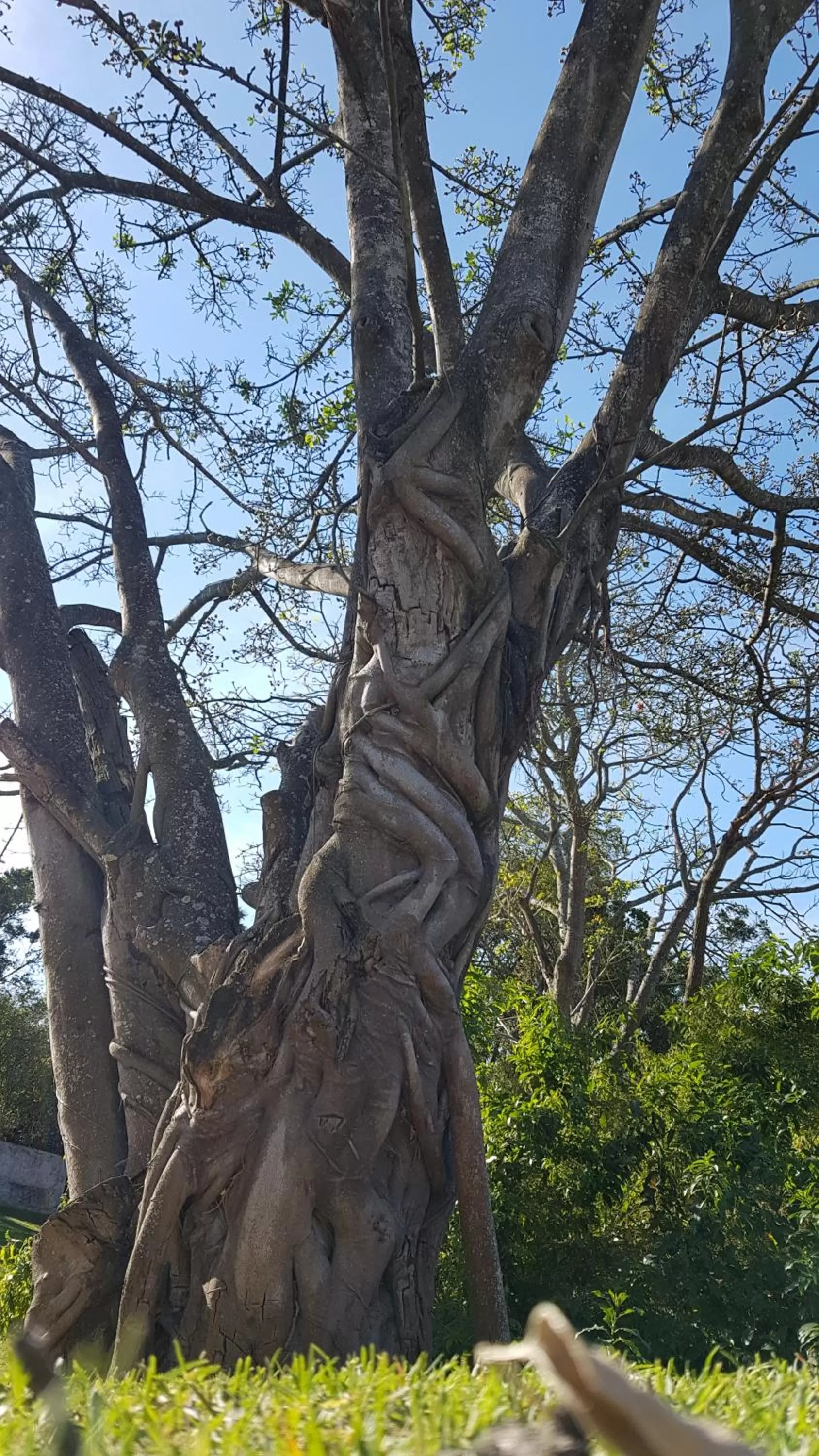 Natural landscape in Riverview Guesthouse East London