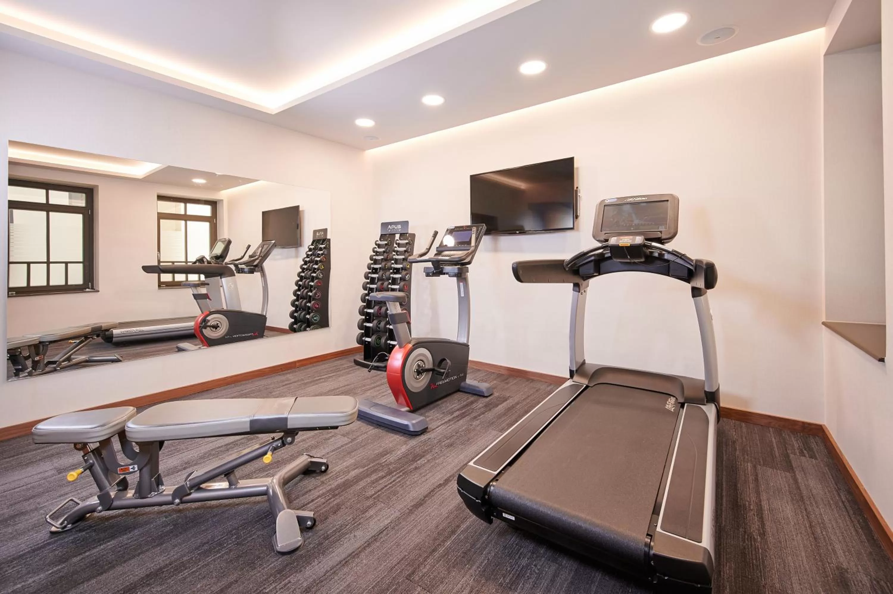 Fitness centre/facilities in Artis Boutique Hotel